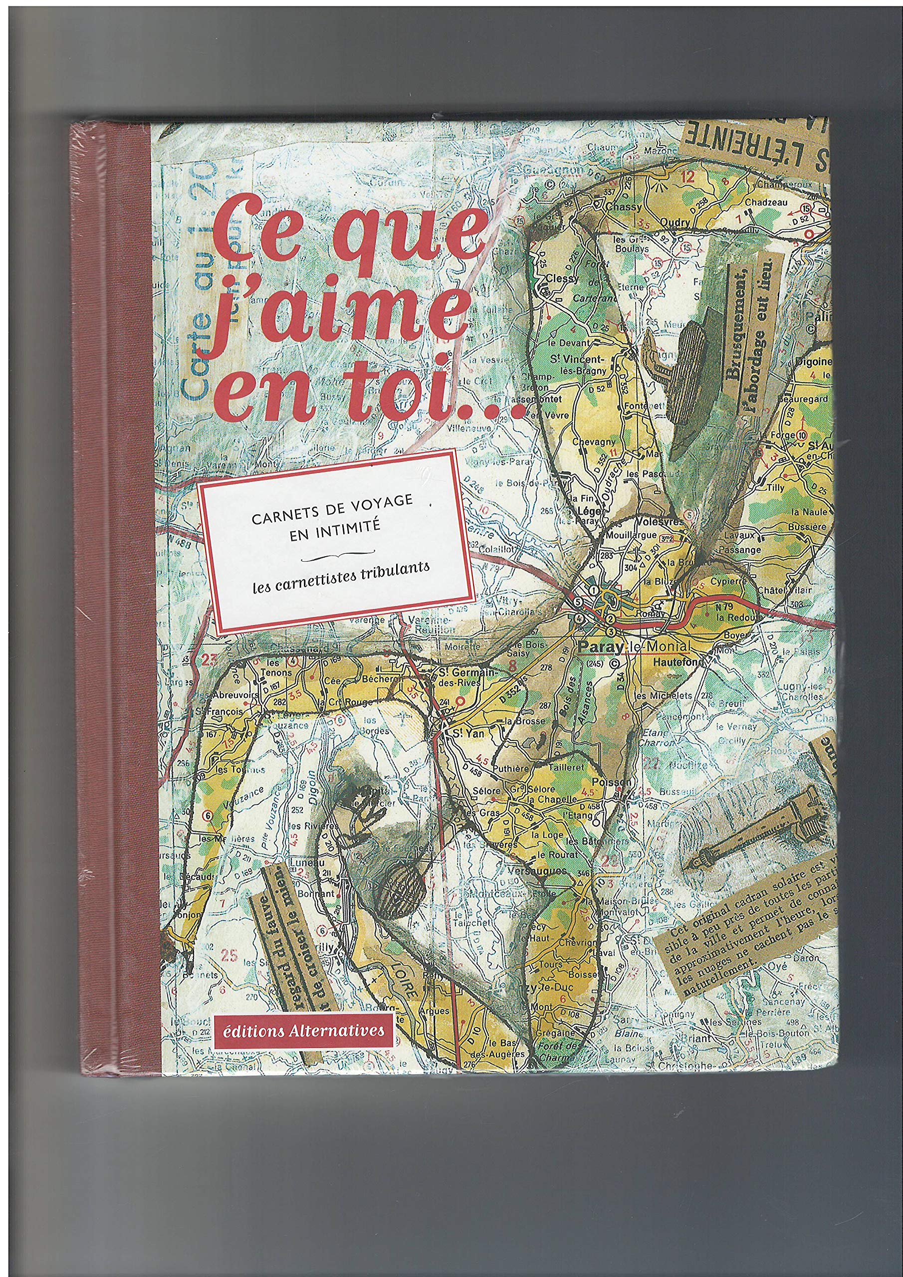 Ce que j'aime en toi...: Carnets de voyage en intimité book
