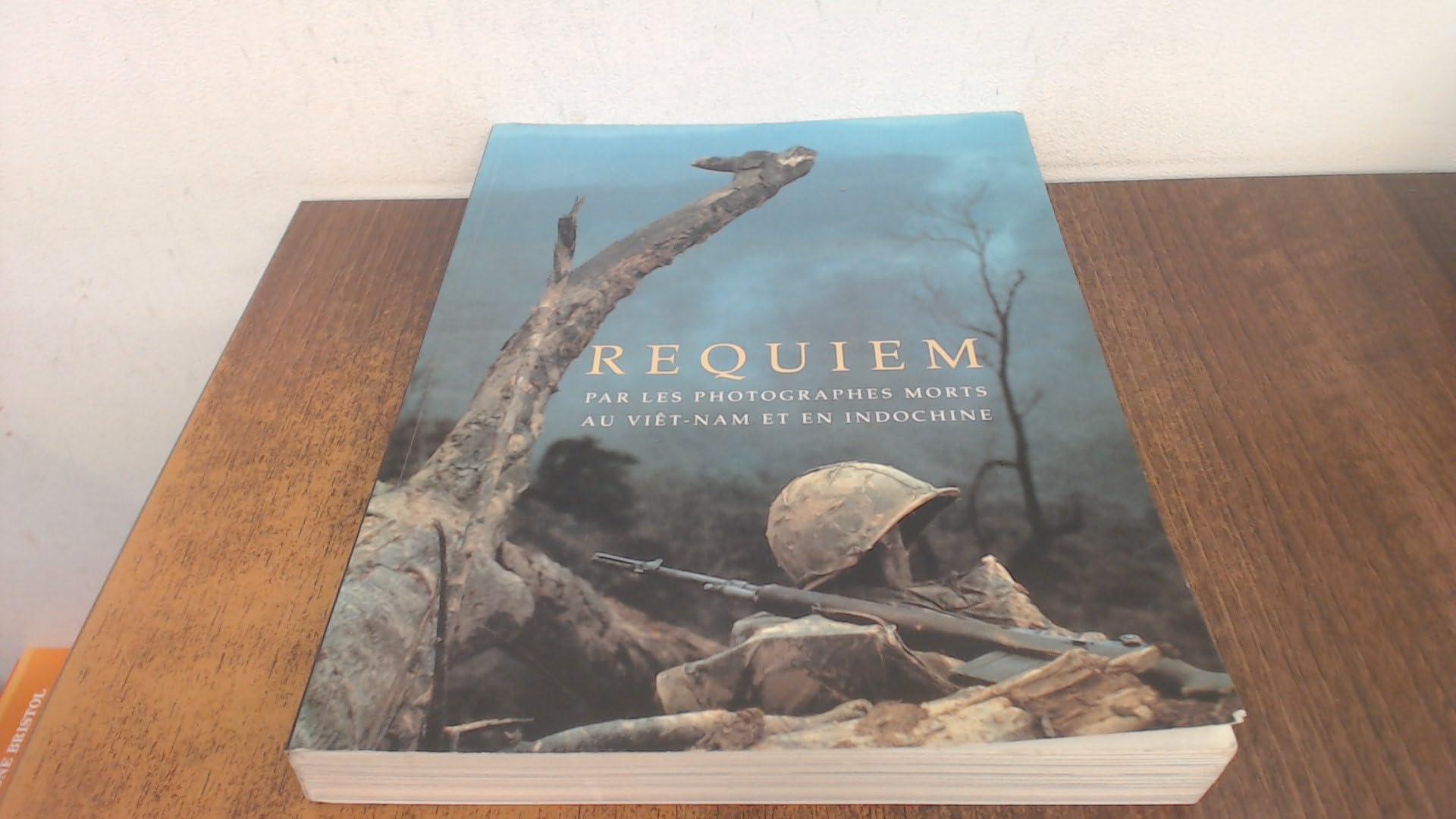 Requiem. Par Les Photographes Morts Au Viet-Nam Et En Indochine Books