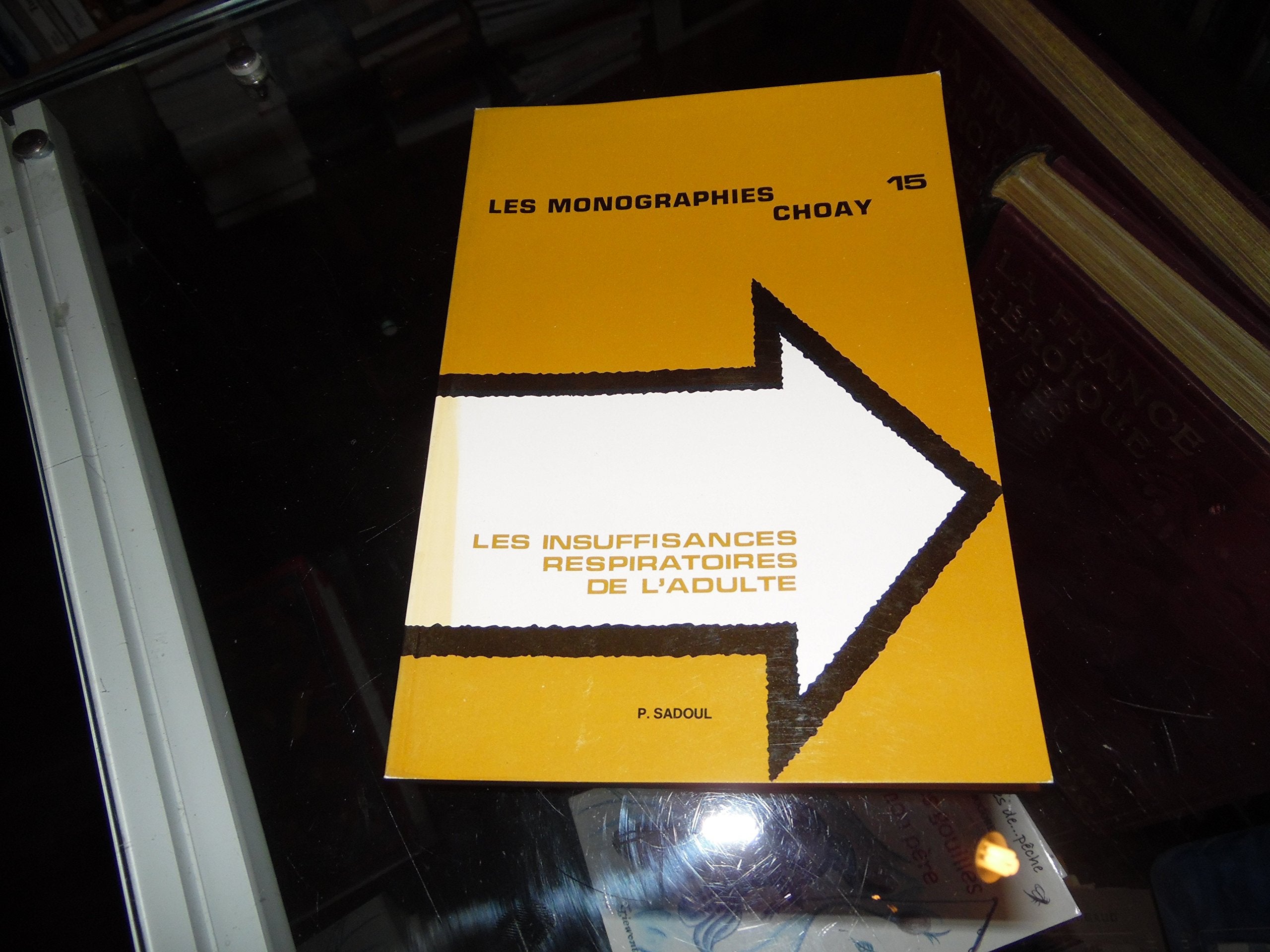 Vie de Charlot : Charles Spencer Chaplin, ses films et son temps book