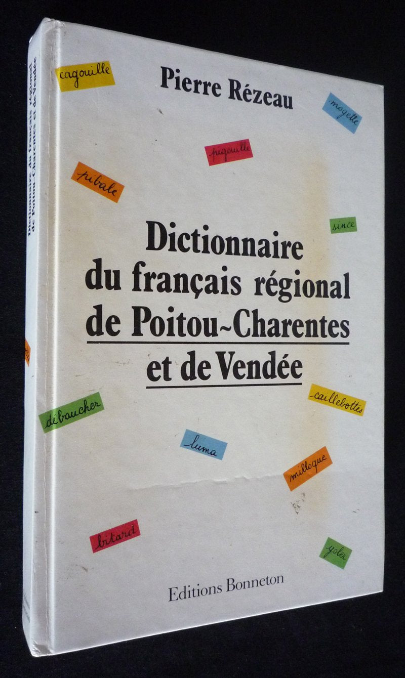 Dictionnaire du français régional de Poitou-Charentes et de Vendée book