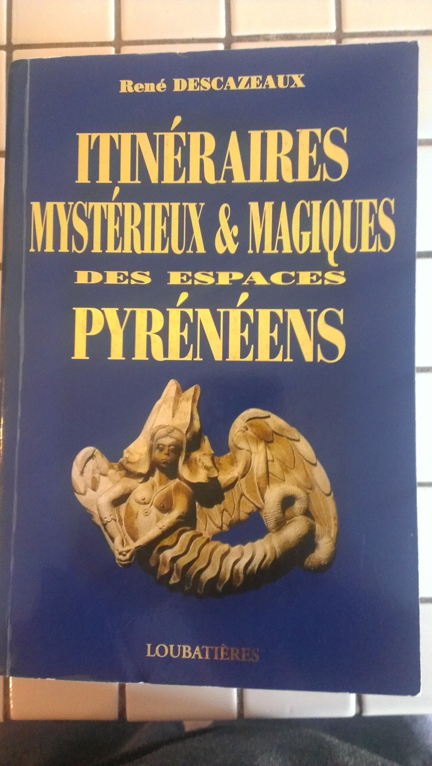 Itinéraires mystérieux et magiques des espaces pyreneens Books
