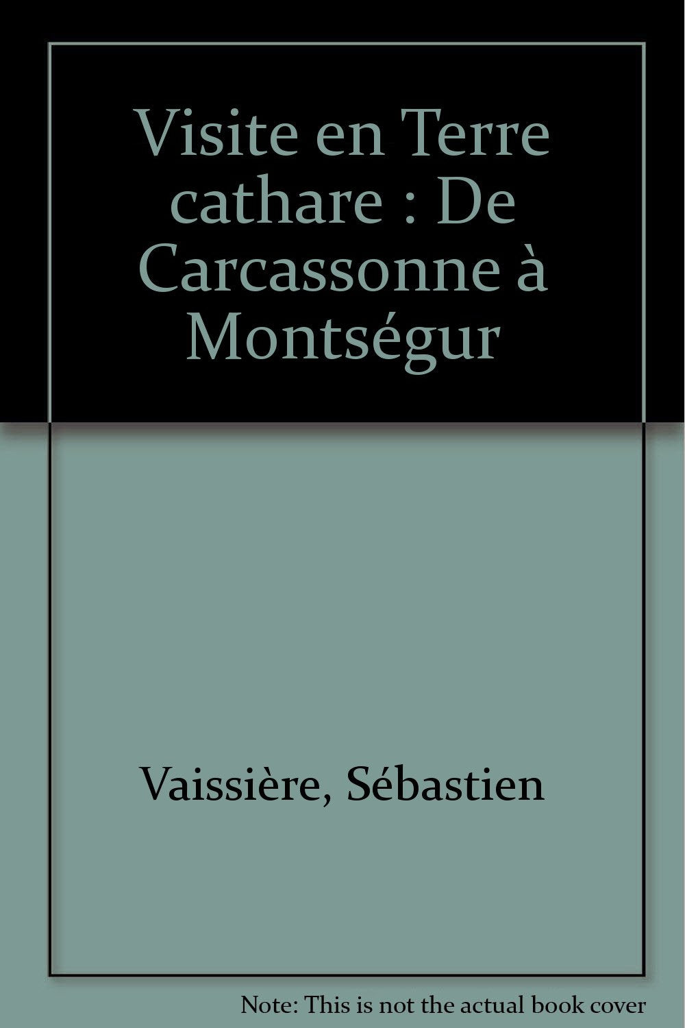 Visite en Terre cathare: De Carcassonne à Montségur book