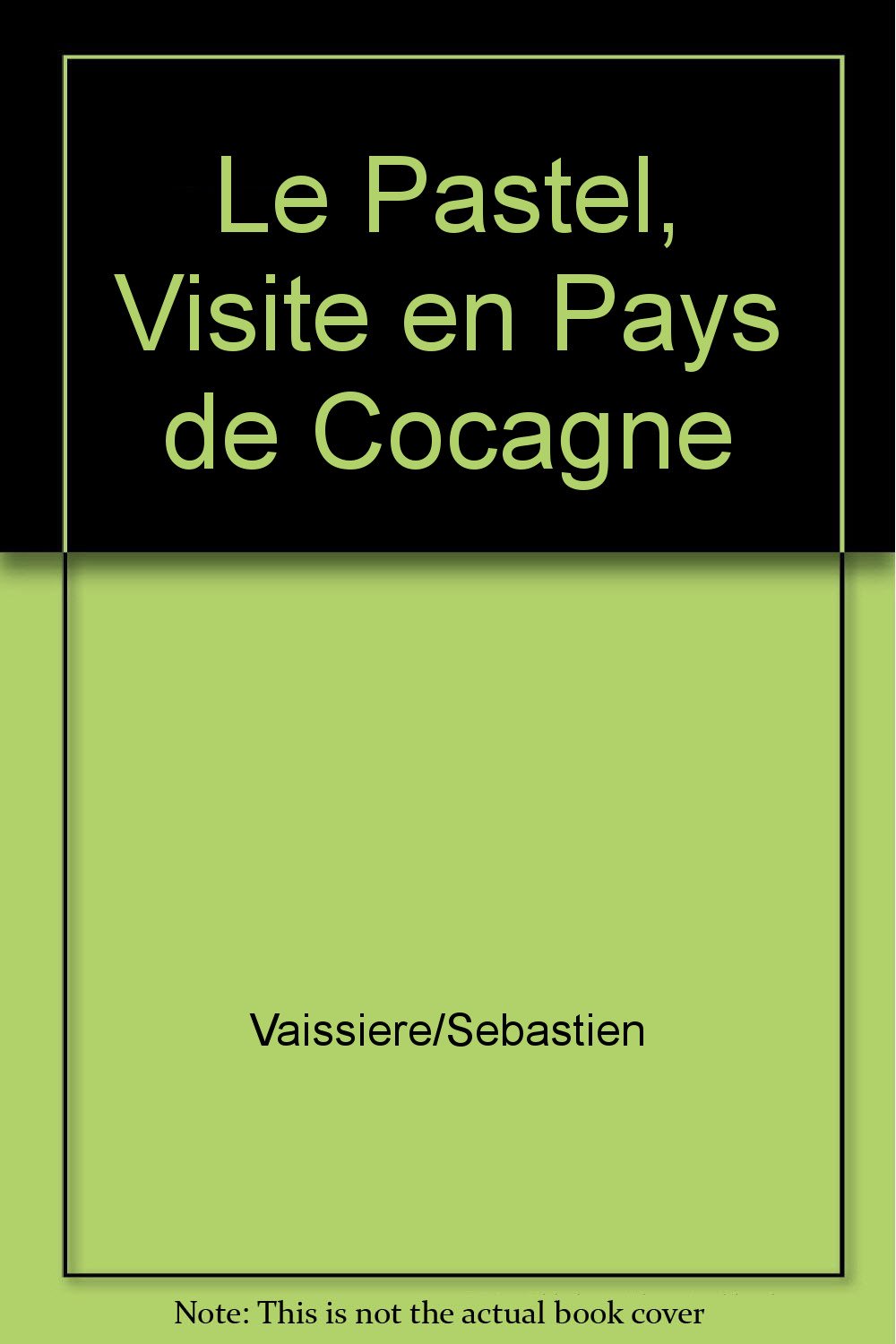 Le Pastel, Visite en Pays de Cocagne Books