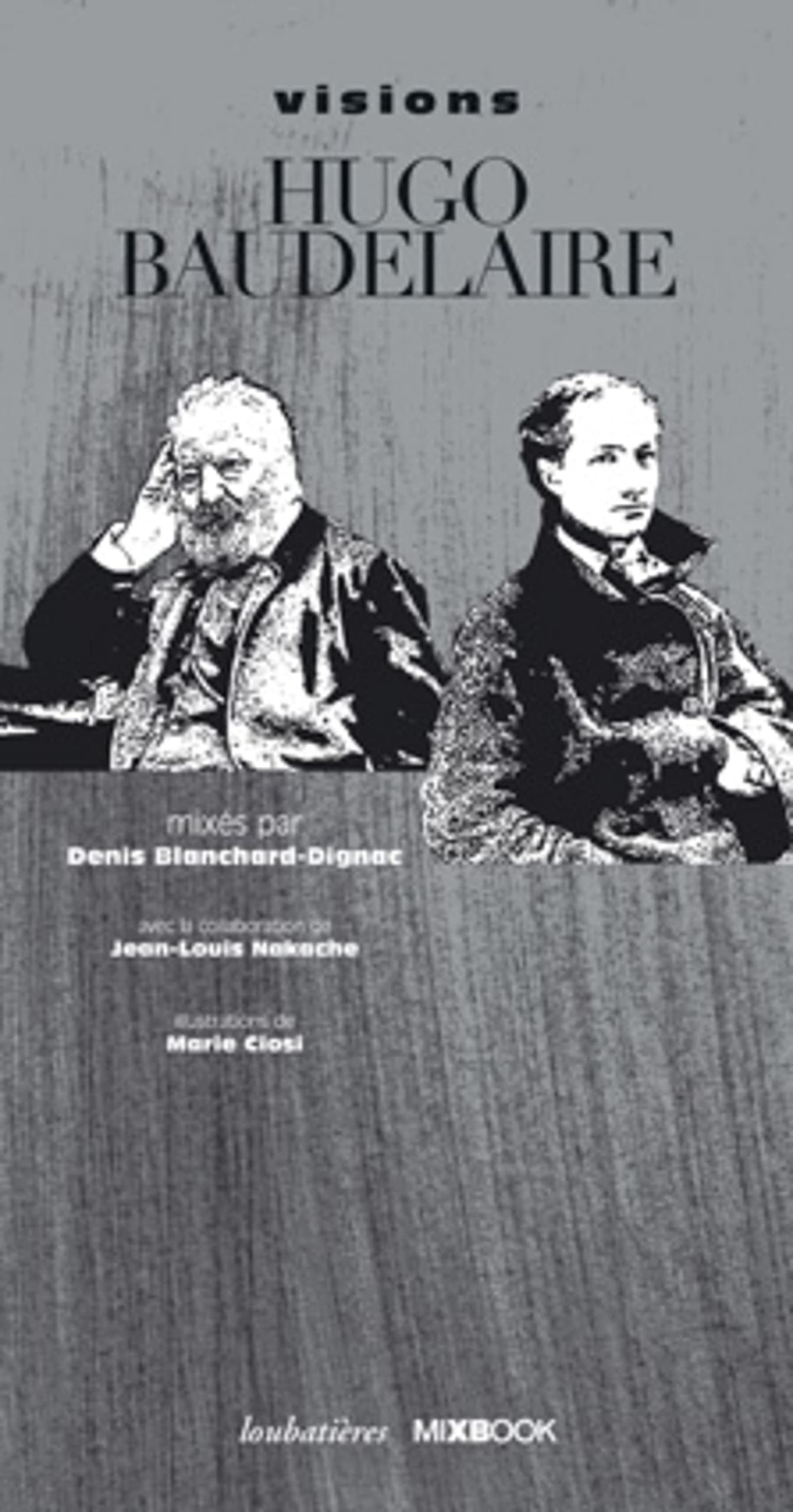 Visions Hugo Baudelaire book