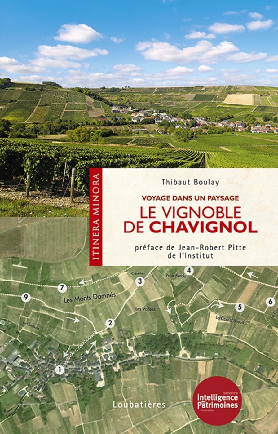 Le vignoble de Chavignol: Voyage dans un paysage Film, Art & Culture