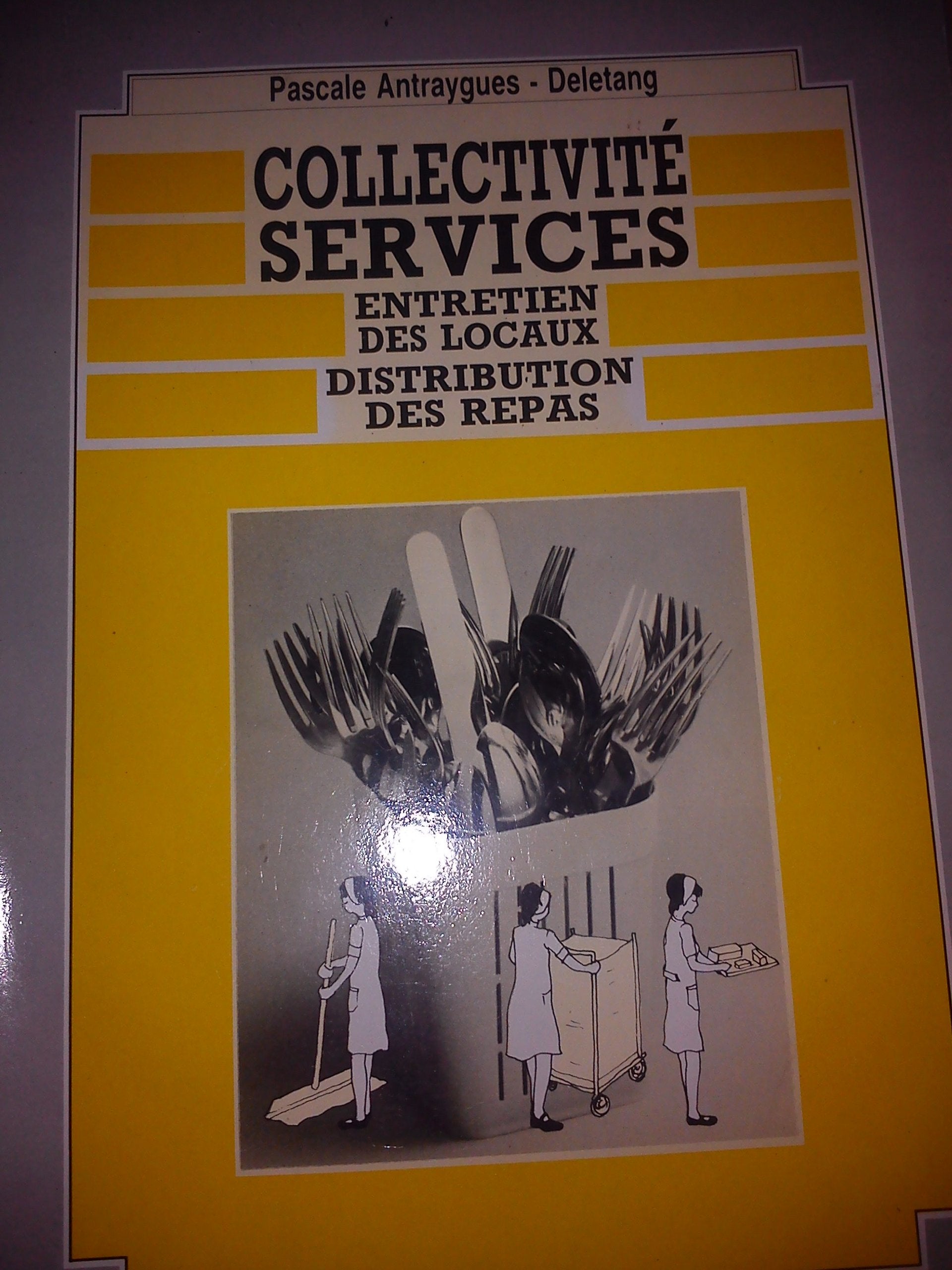 Collectivité services : entretien des locaux, distribution des repas book