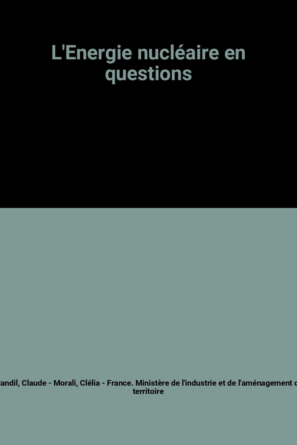 L'Energie nucléaire en questions book