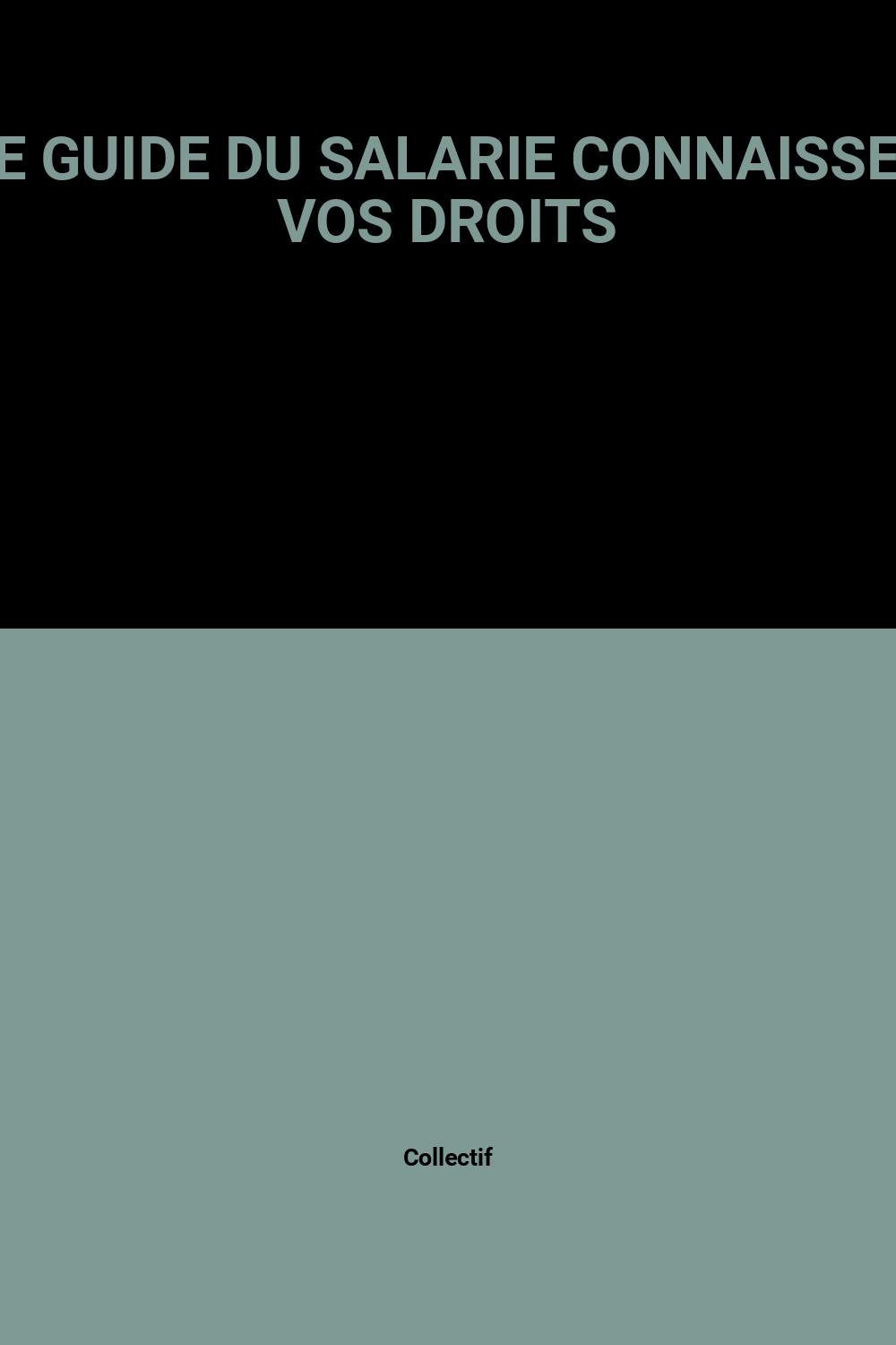Le Guide Du Salarie Connaissez Vos Droits book