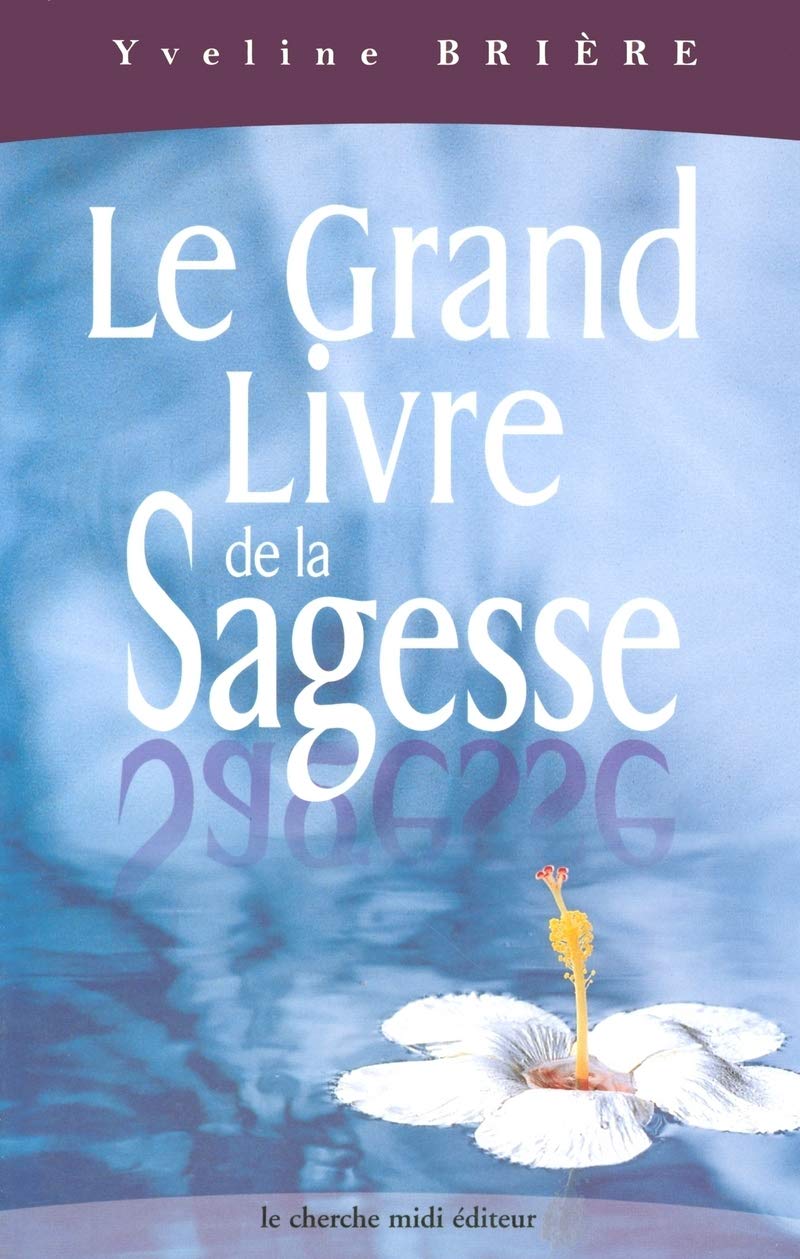 Le grand livre de la sagesse, nouvelle édition book