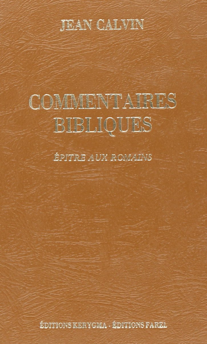 Commentaires sur l'Ancien Testament. Vol. 4. Epitre aux Romains book