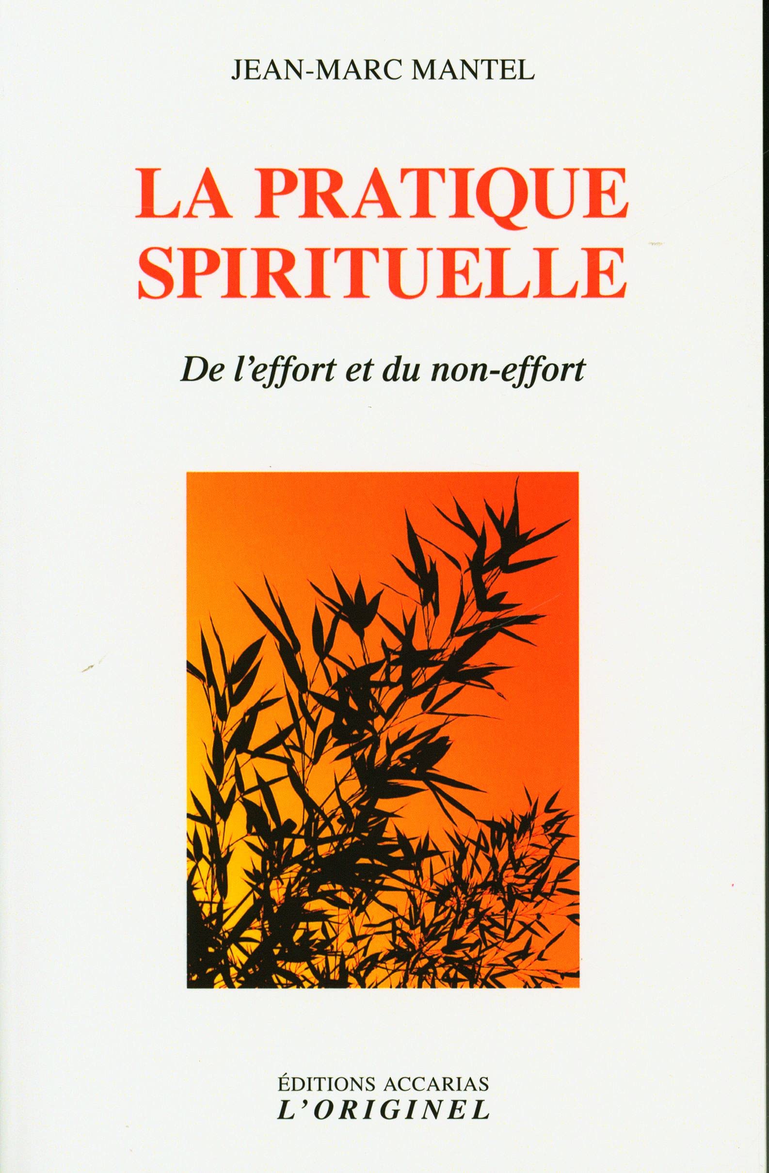La pratique spirituelle: De l'effort et du non-effort book