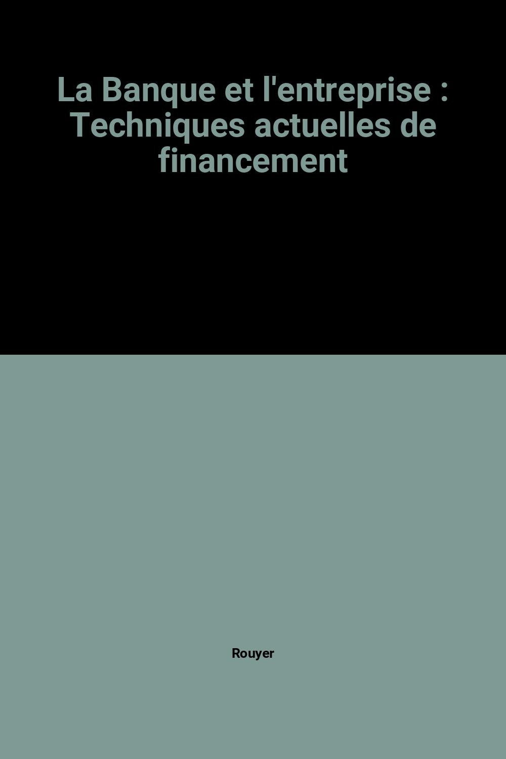 La Banque et l'entreprise: Techniques actuelles de financement book
