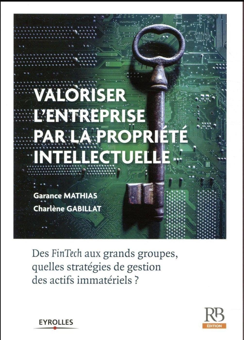 Valoriser l'entreprise par la propriété intellectuelle: Des FinTech aux grands groupes, quelles stratégies de gestion des actifs immatériels ? book