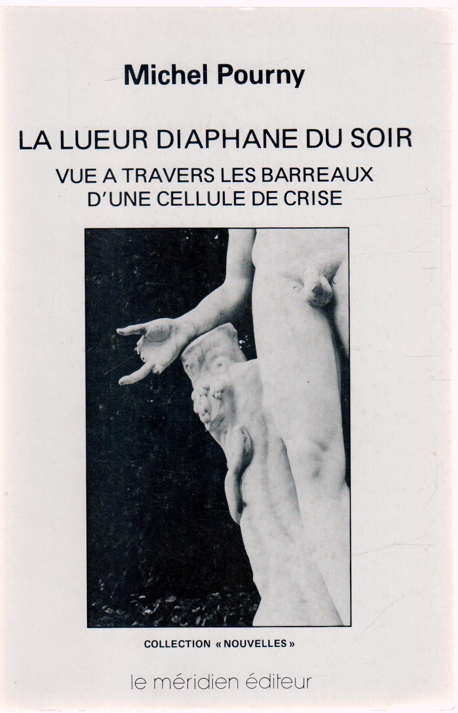 La Lueur diaphane du soir vue à travers les barreaux d'une cellule de crise (Nouvelles) Books