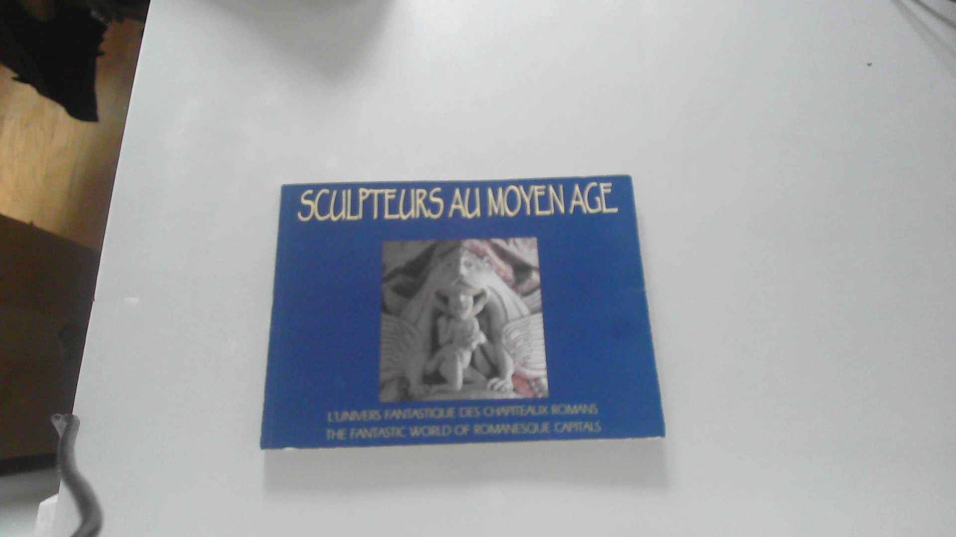 Sculpteurs au Moyen Age : L'Univers fantastique des chapiteaux romans (anglais/français) book