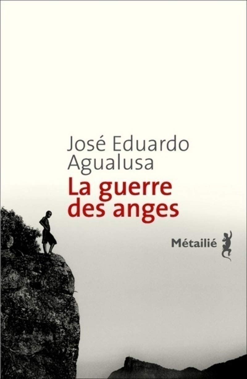 La Guerre des anges book