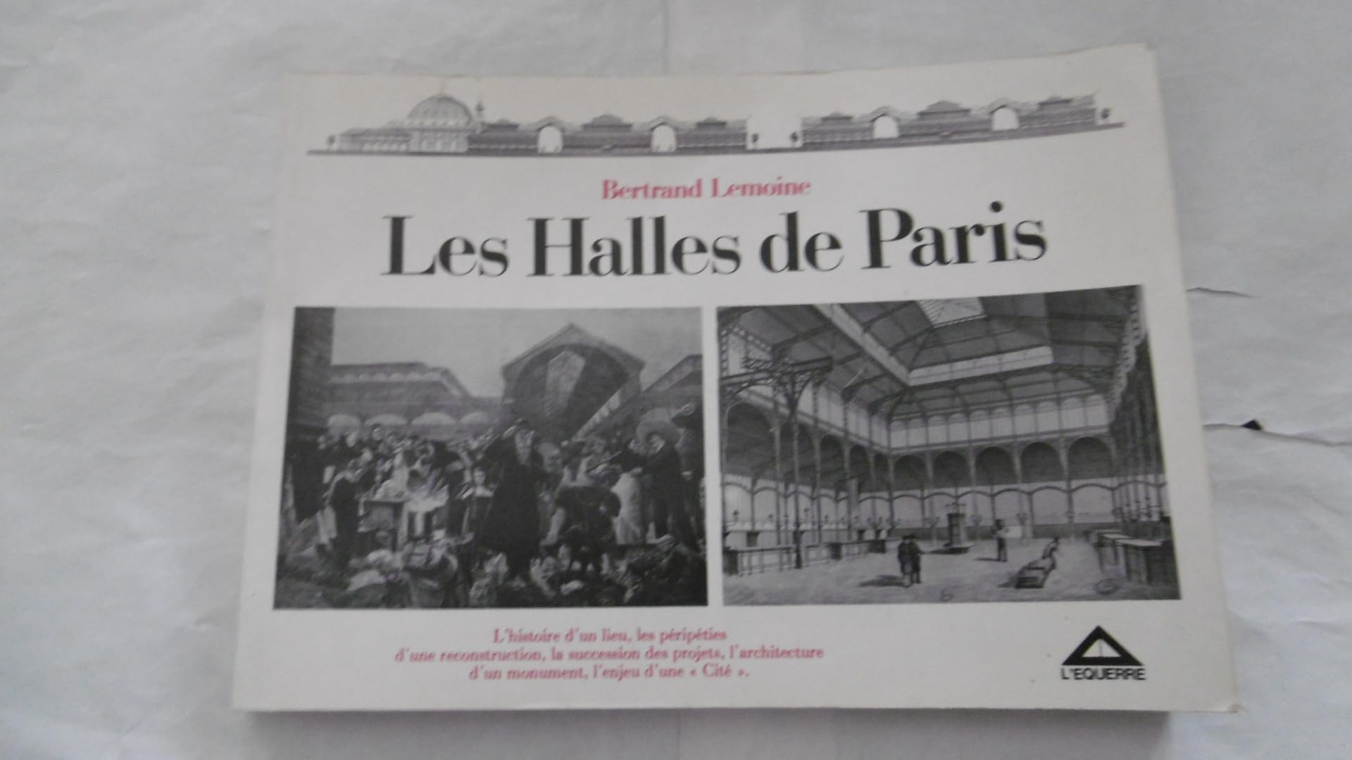 Les Halles de Paris : L'histoire d'un lieu, les péripéties d'une reconstruction, la succession des projets, l'architecture d'un monument, l'enjeu d'une cité (Les Laboratoires de l'imaginaire) Books
