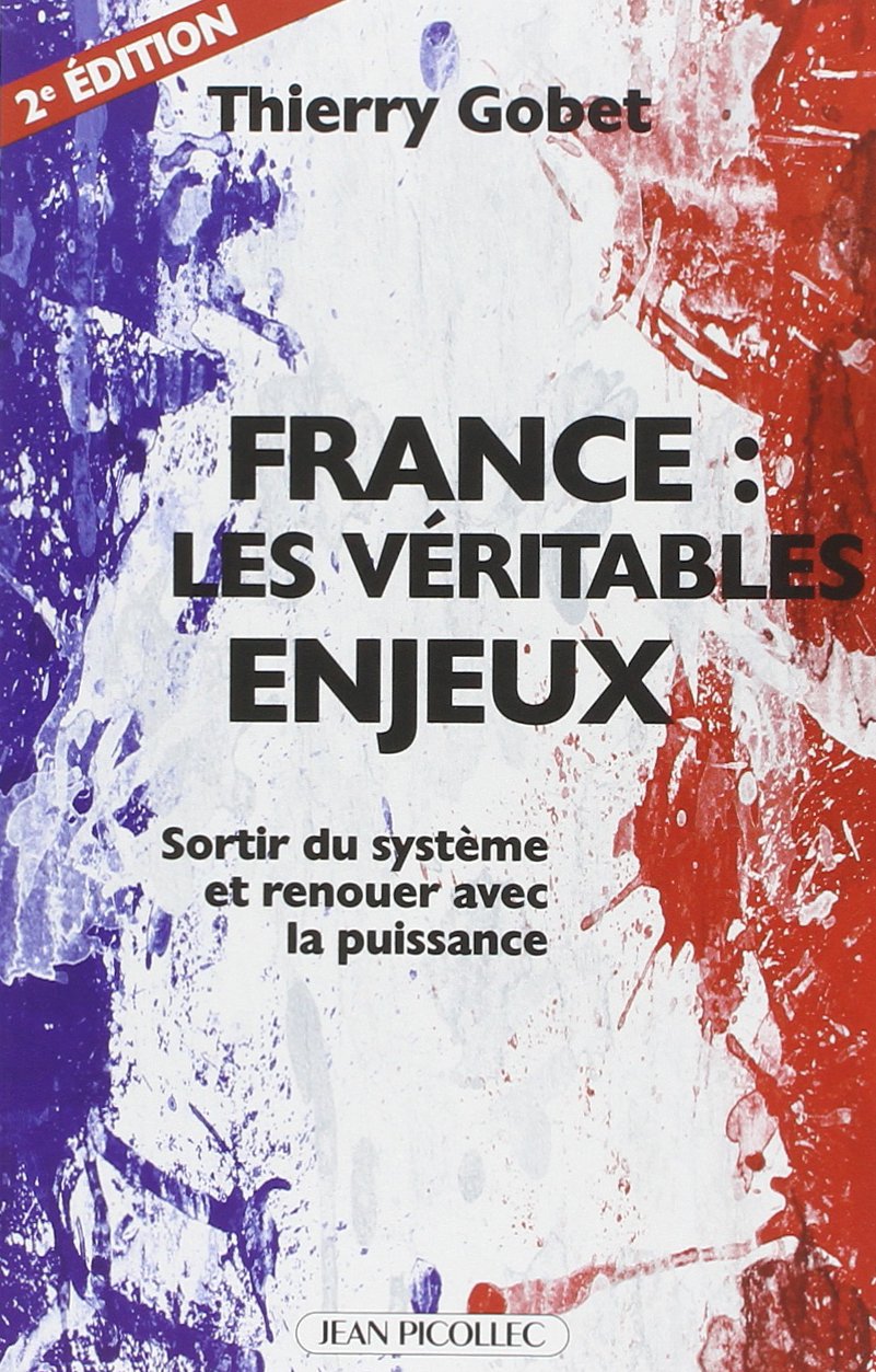 France, les véritables enjeux: sortir du système et renouer avec la puissance book