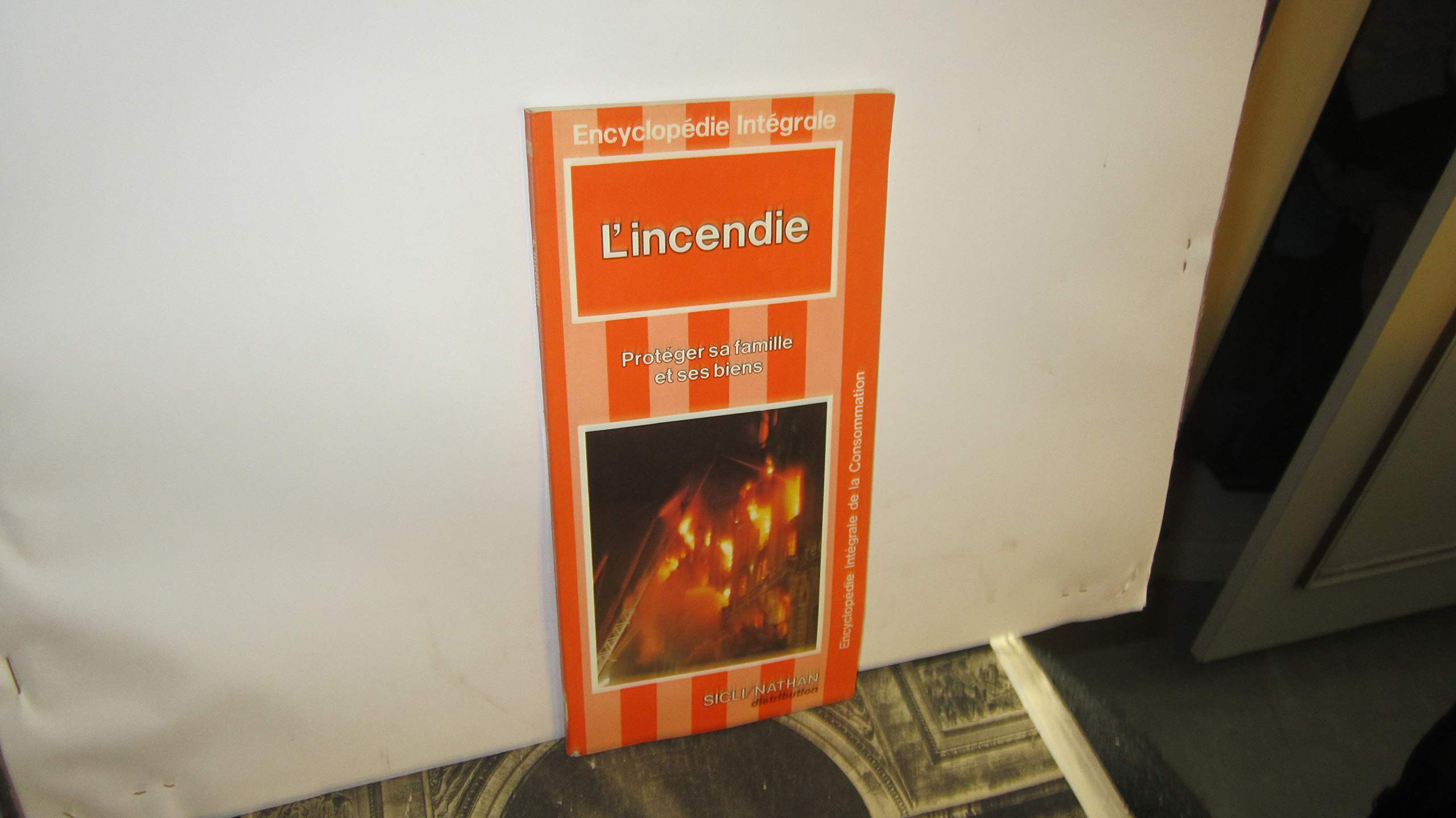 L'Incendie : Protéger sa famille et ses biens Books