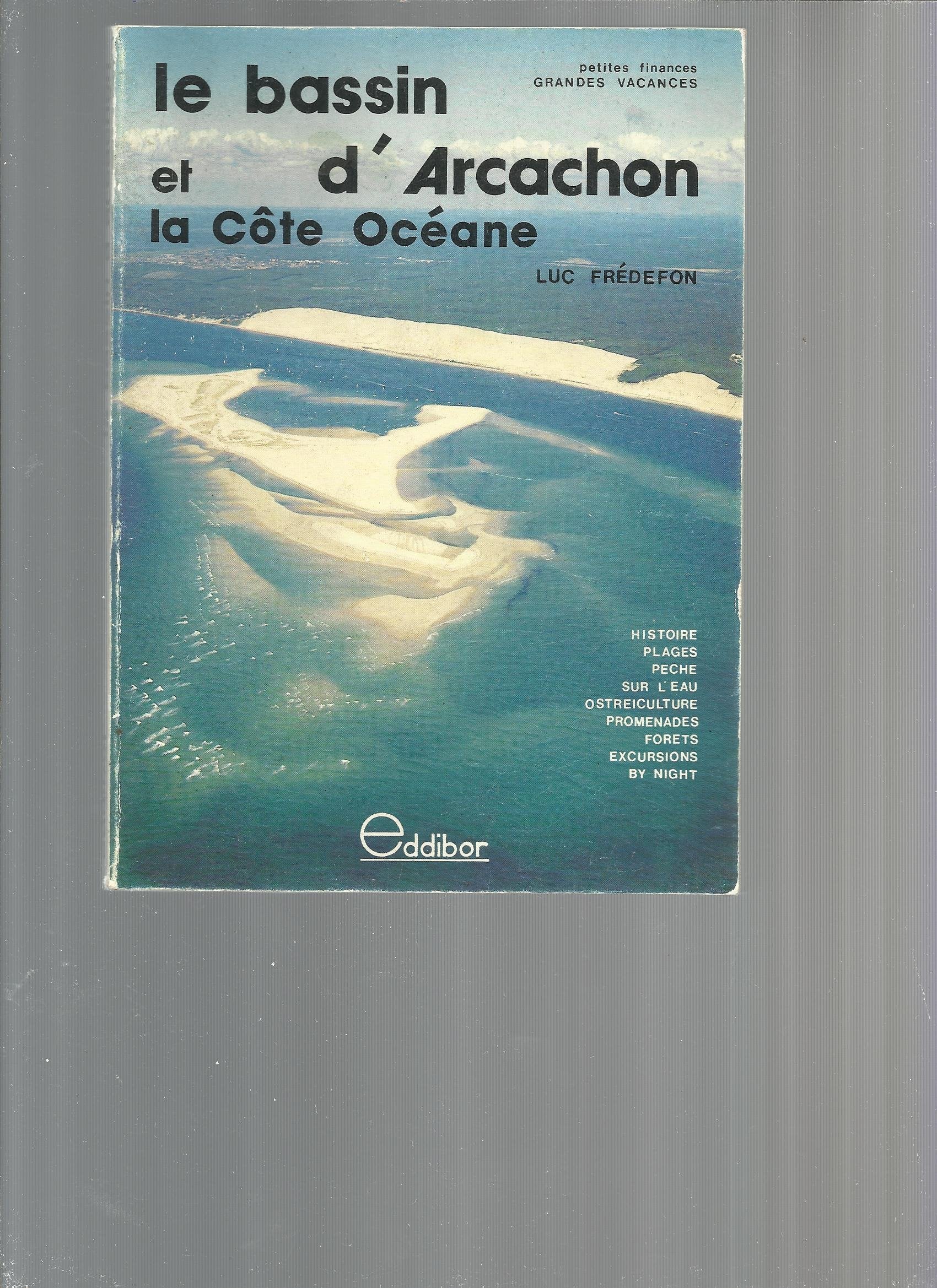 Le Bassin d'Arcachon et la côte océane (Petites finances, grandes vacances) Books