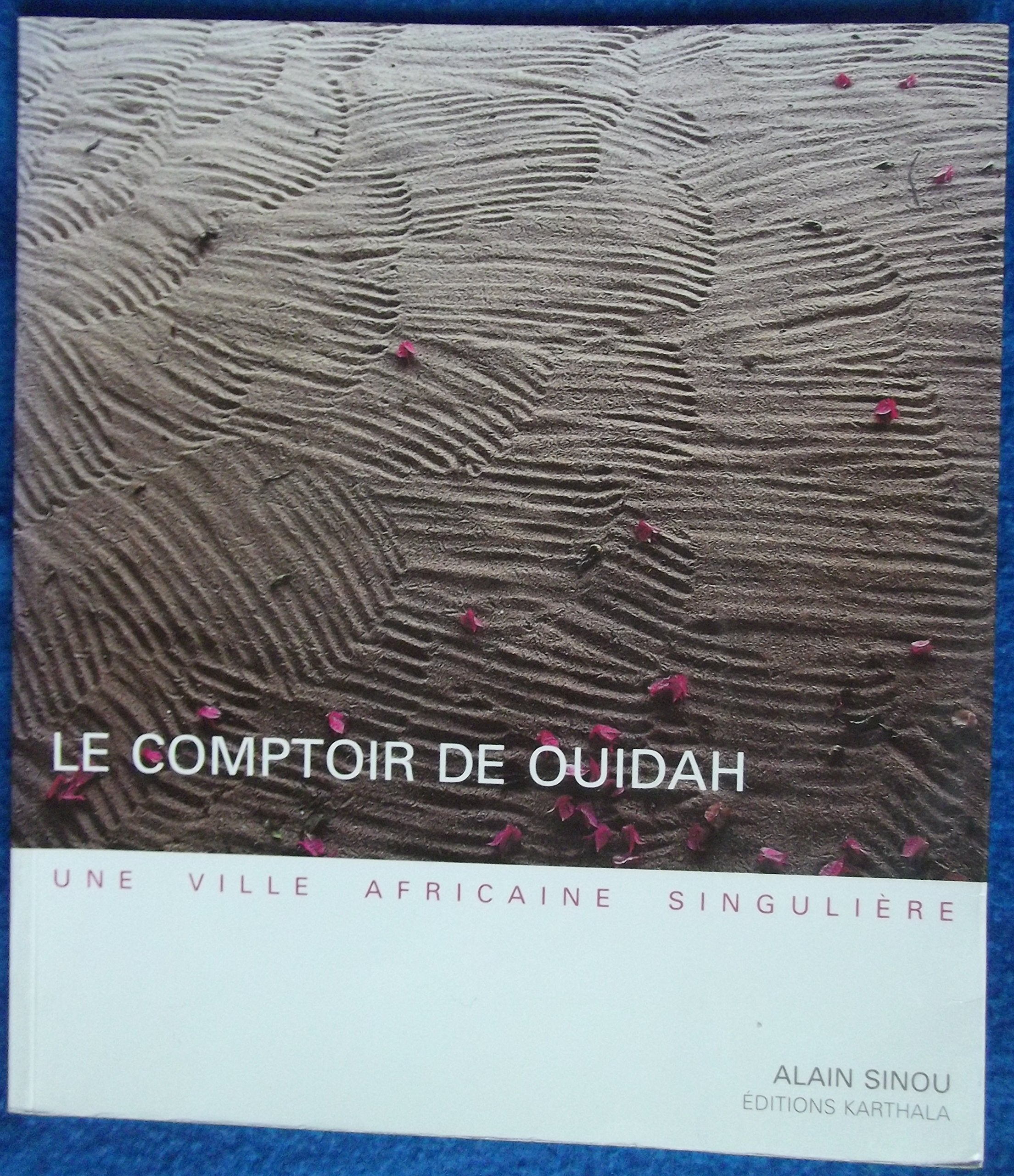 Le comptoir de Ouidah: Une ville africaine singulière Books