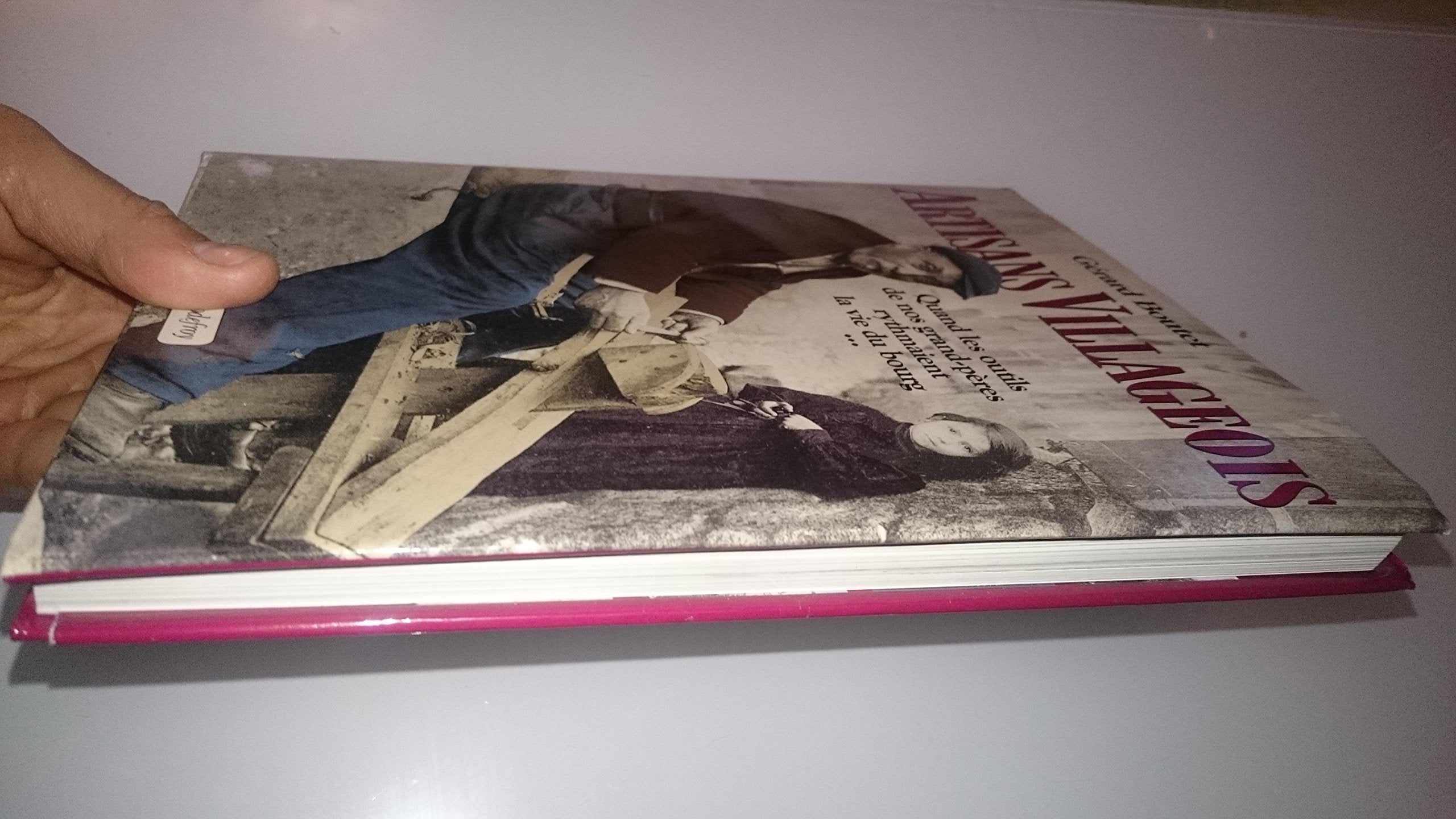 Artisans villageois : quand les outils de nos grands-pères rythmaient la vie du bourg Books