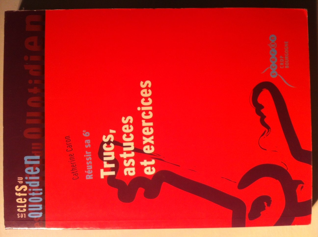Trucs, astuces et exercices: Réussir sa 6e Books