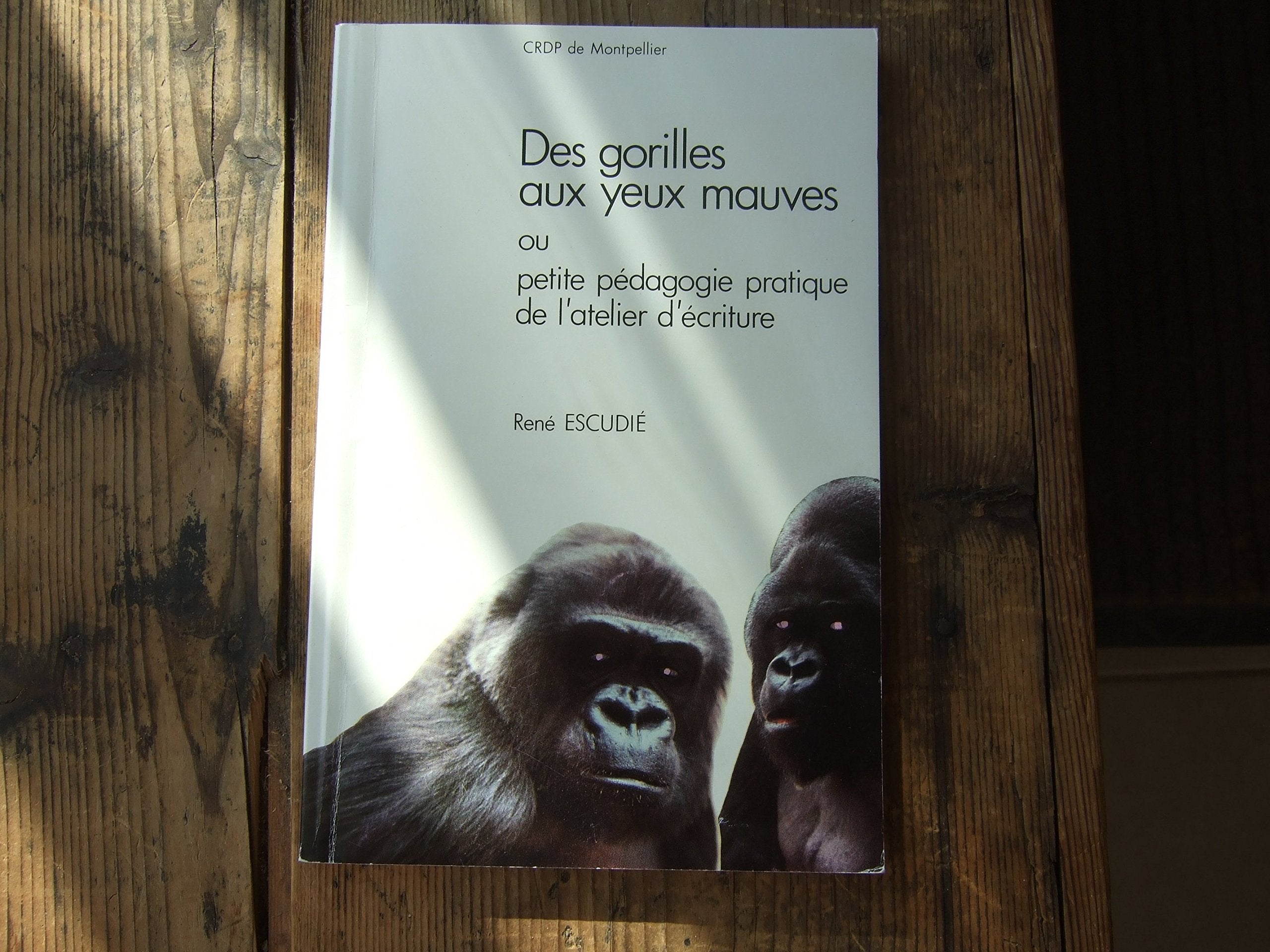 Des Gorilles aux yeux mauves : ou petite pédagogie pratique de l'atelier Books