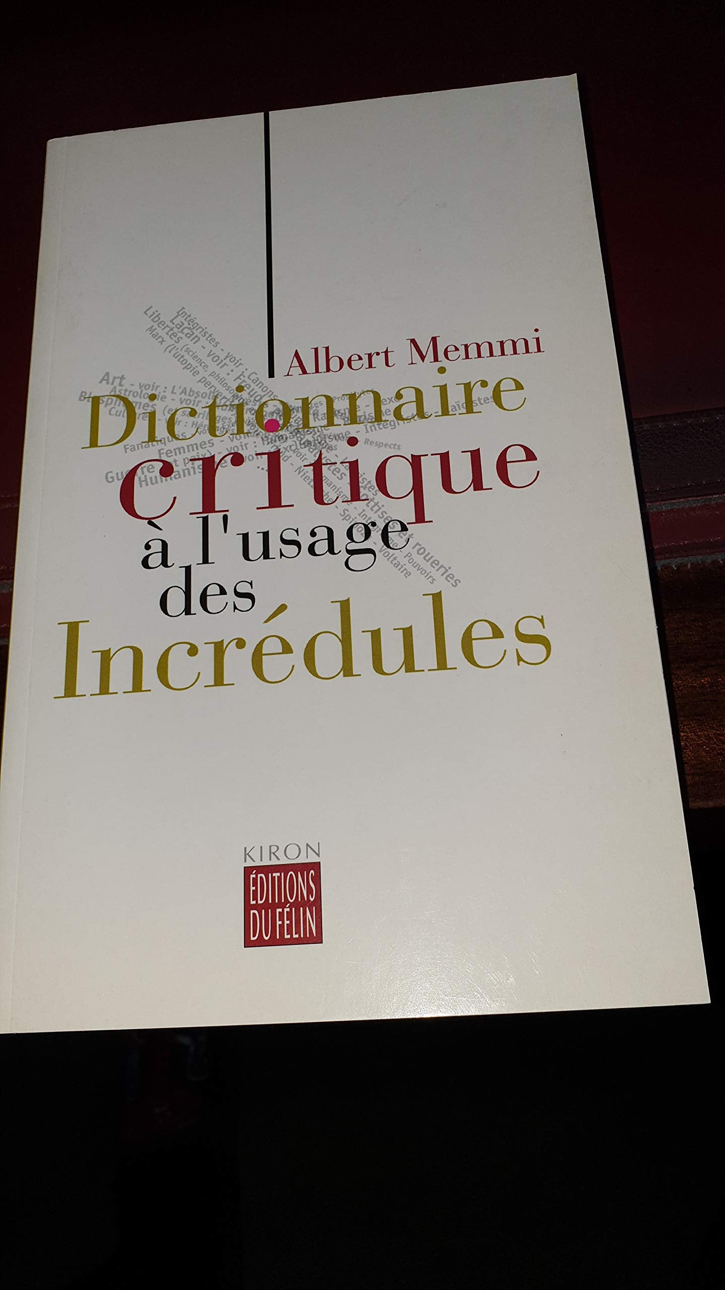Dictionnaire critique à l'usage des incrédules Social Sciences