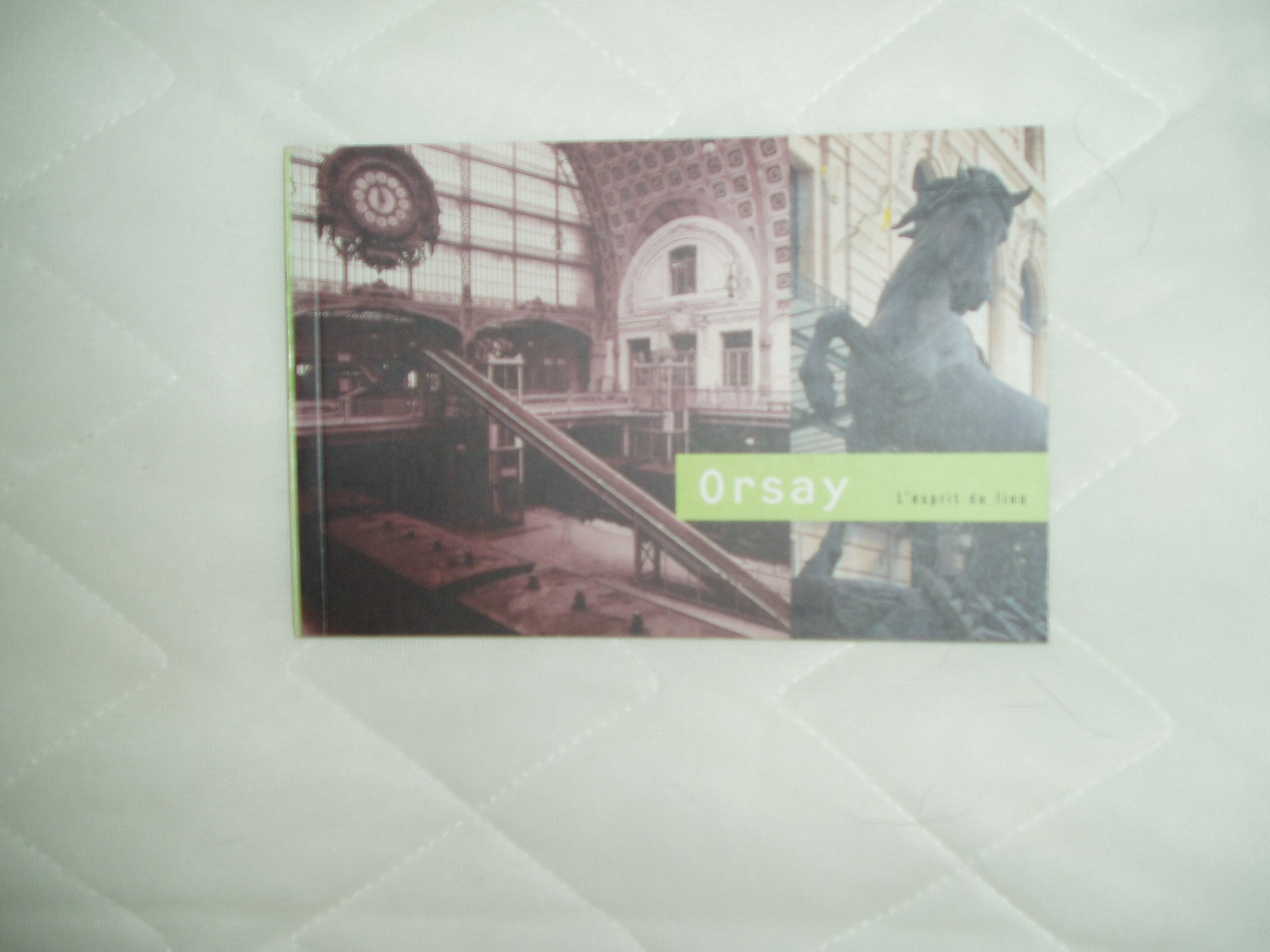 Orsay: From a Station to a Museum (Art Spaces) Architecture