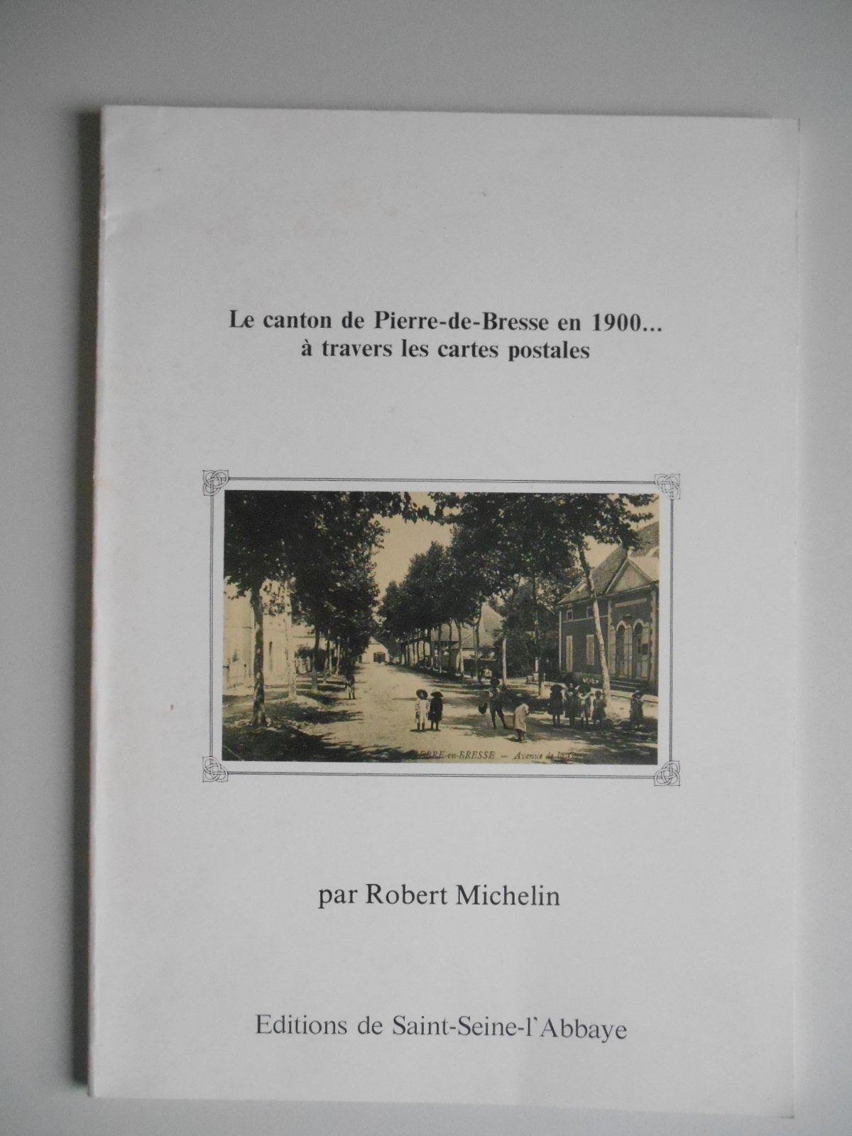 Le Canton de Pierre de Bresse en 1900 à travers les cartes postales book