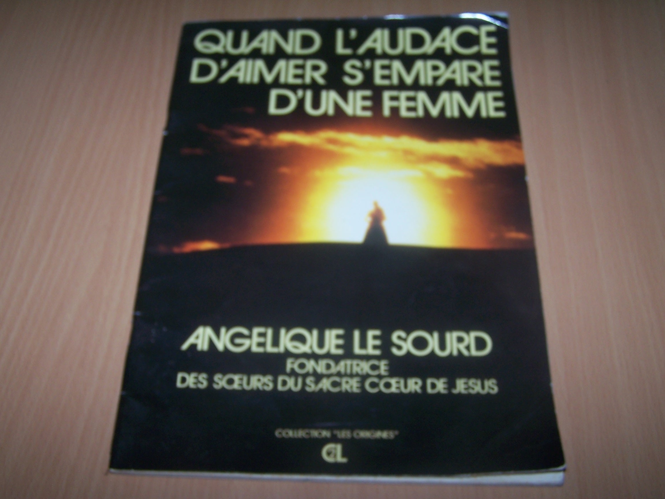 Quand l'audace d'aimer s'empare d'une femme : Angélique Le Sourd, fondatrice des Soeurs du Sacré-Coeur de Jésus (Les Origines) Books