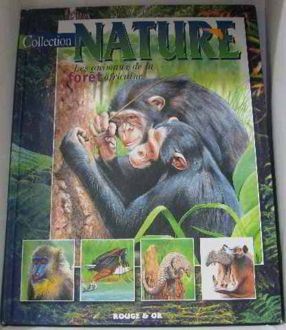 Les animaux de la forêt africaine book