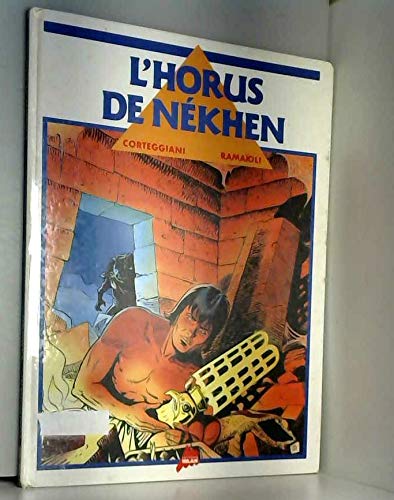 La Télévision au local : TV locales, canaux locaux Books