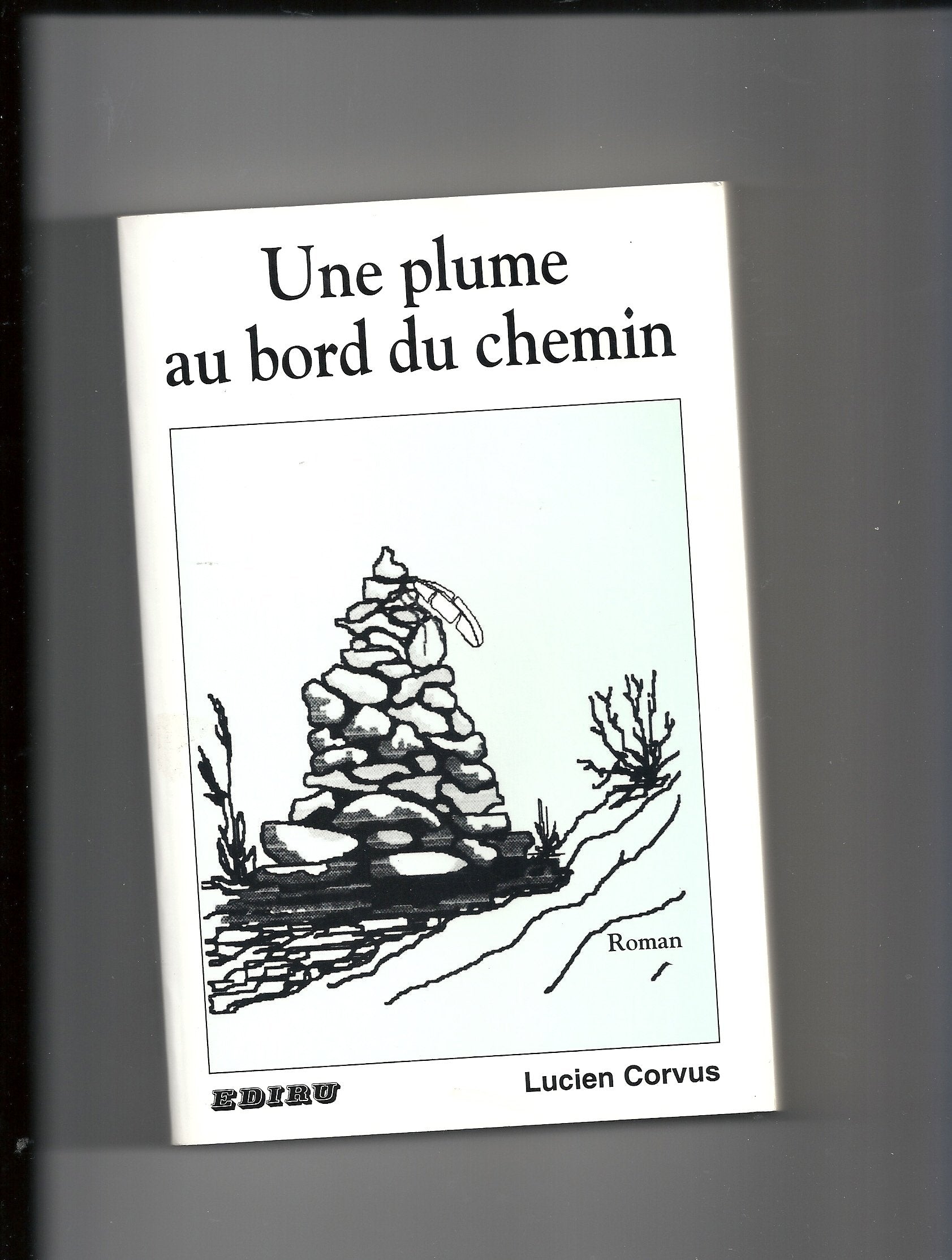 Une plume au bord du chemin : Roman initiatique book