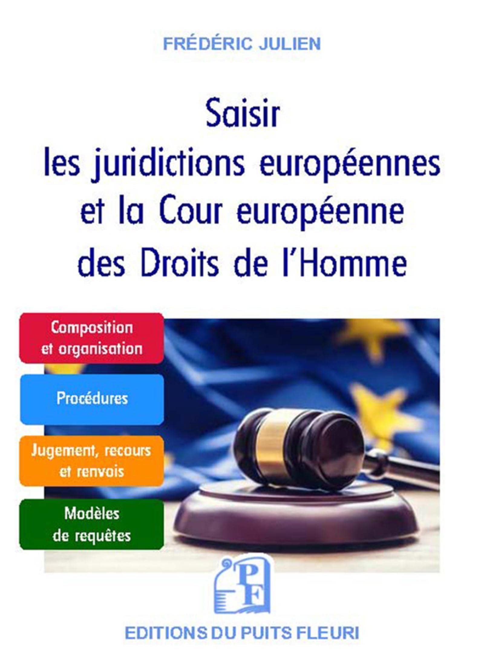Saisir les juridictions européennes et la Cour européenne des Droits de l'Homme book