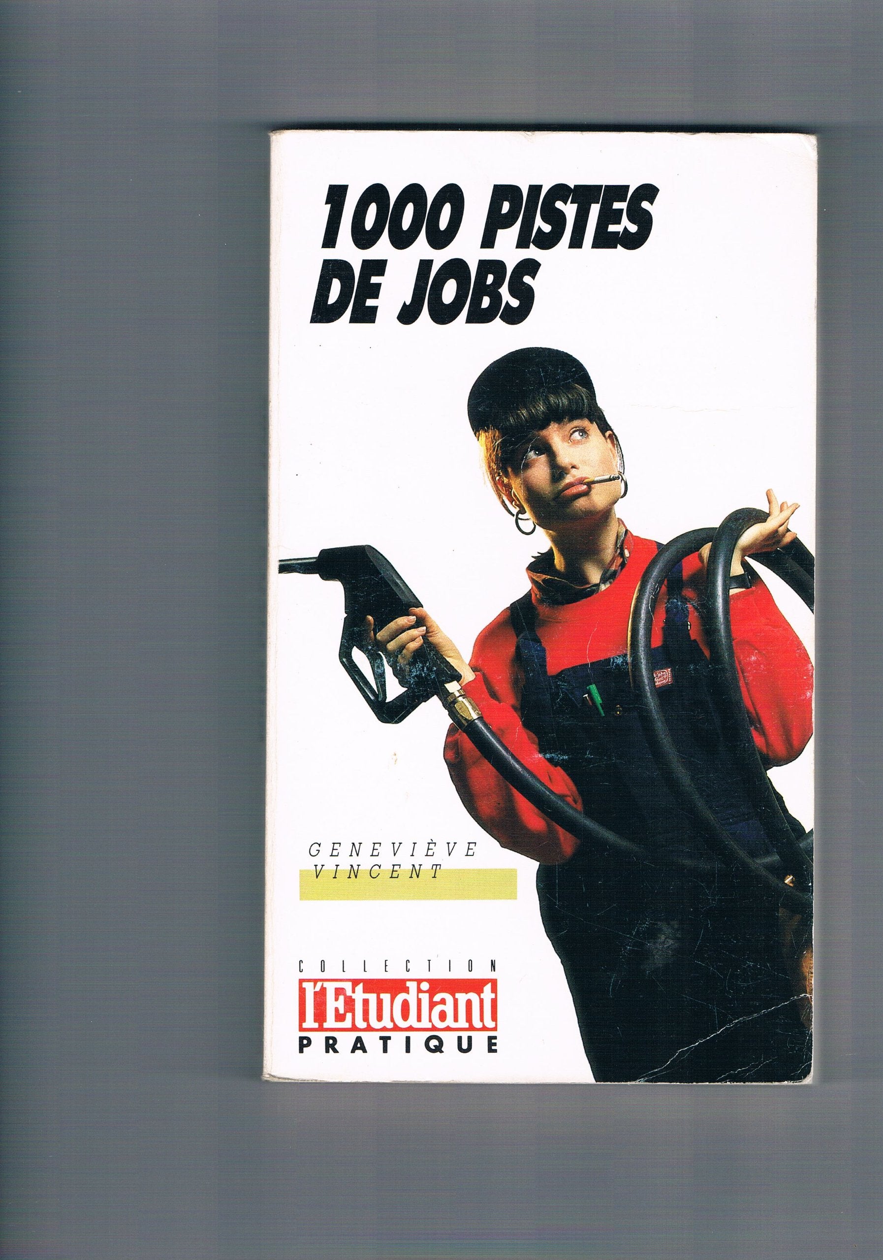 1000 pistes de jobs book