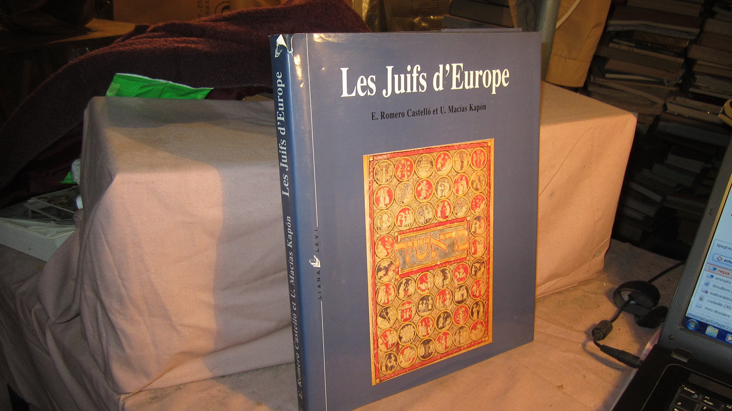 Les Juifs d'Europe : 2000 ans d'histoire book