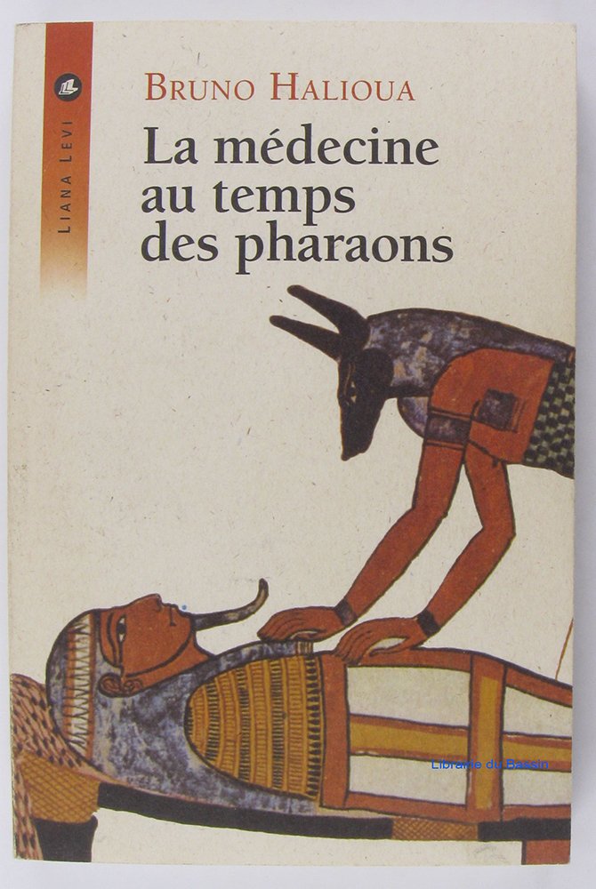 La médecine au temps des pharaons (0000) Politics & History
