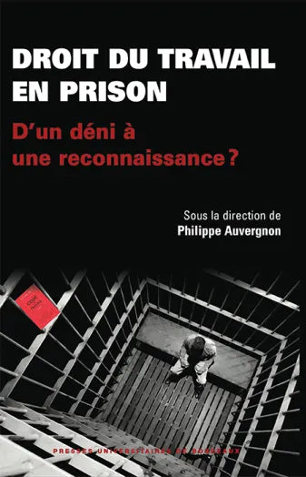 Droit du travail en prison : d'un déni à une reconnaissance ? book