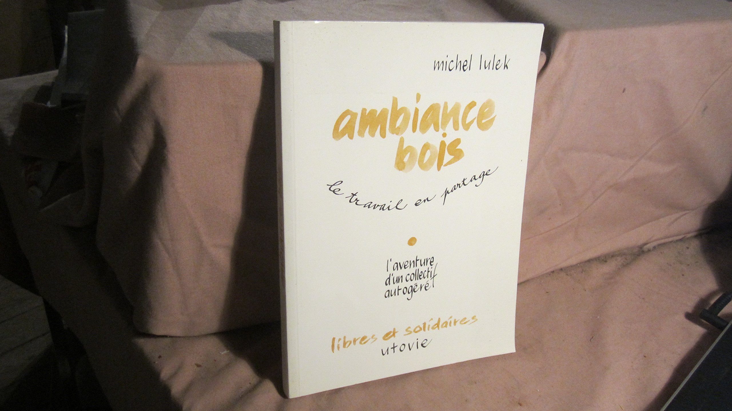 Ambiance bois: Le travail en partage, l'aventure d'un collectif autogéré book