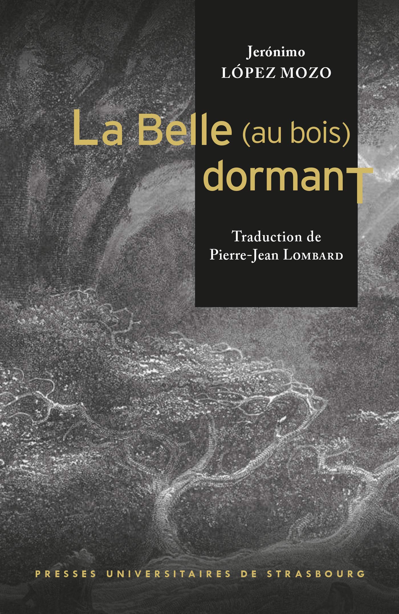 La belle (au bois) dormant/la bella durmiente: LA BELLA DURMIENTE book