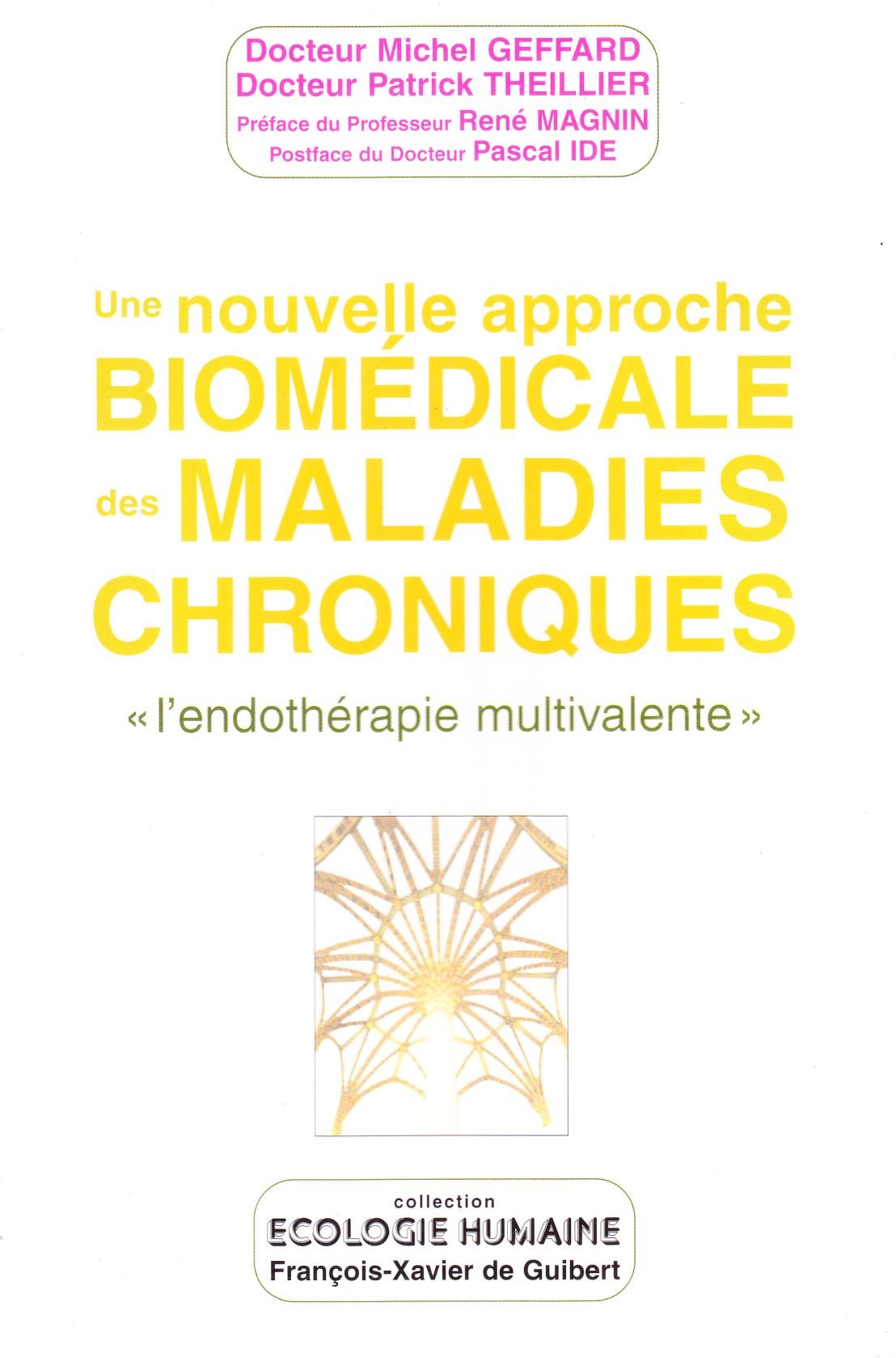 Nouvelle approche biomedicale des maladies chroniques "l'endothérapie multivalente" book