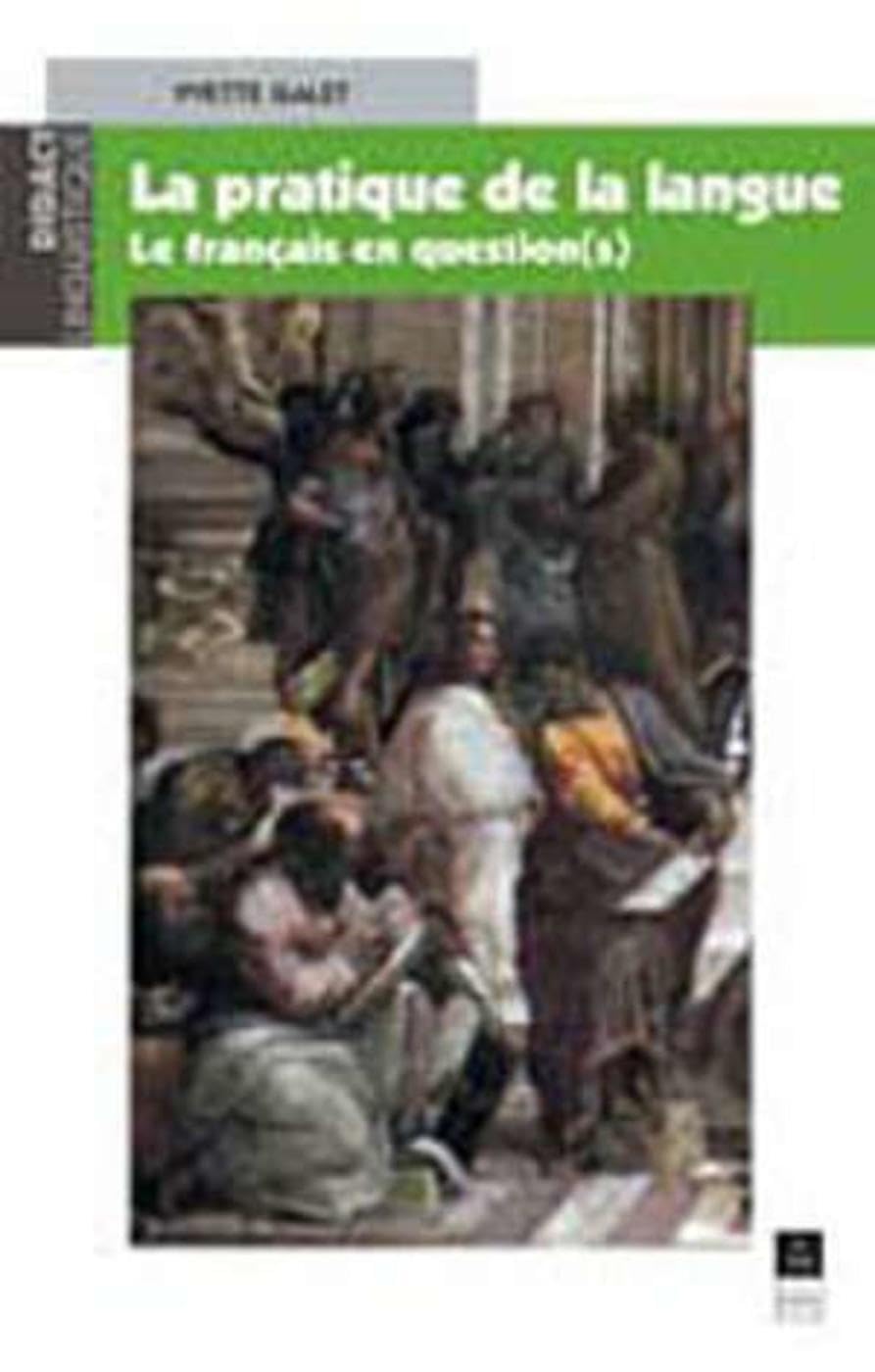 La pratique de la langue : le français en question(s) book