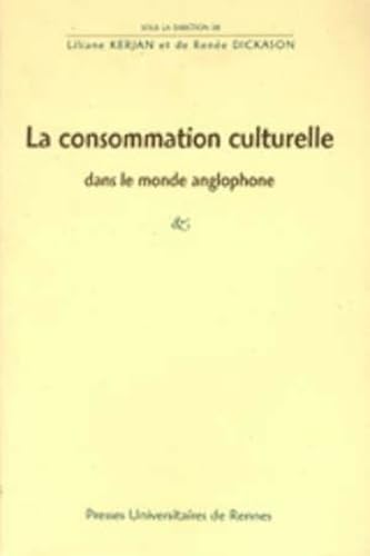 La consommation culturelle dans le monde anglo-saxon book