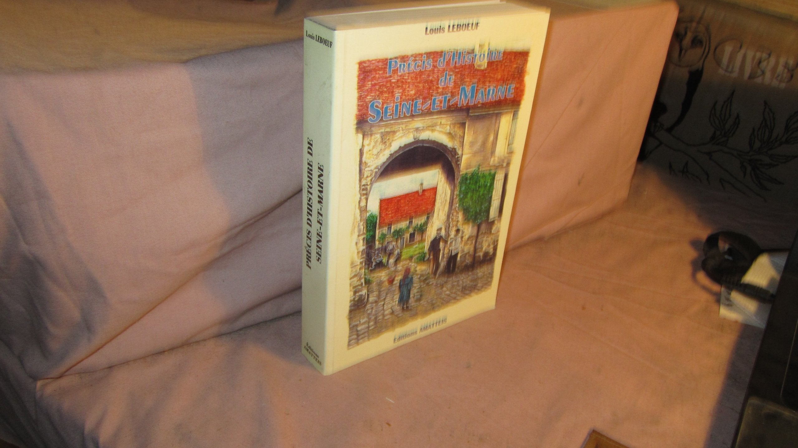 Precis Histoire de Seine-et-Marne book