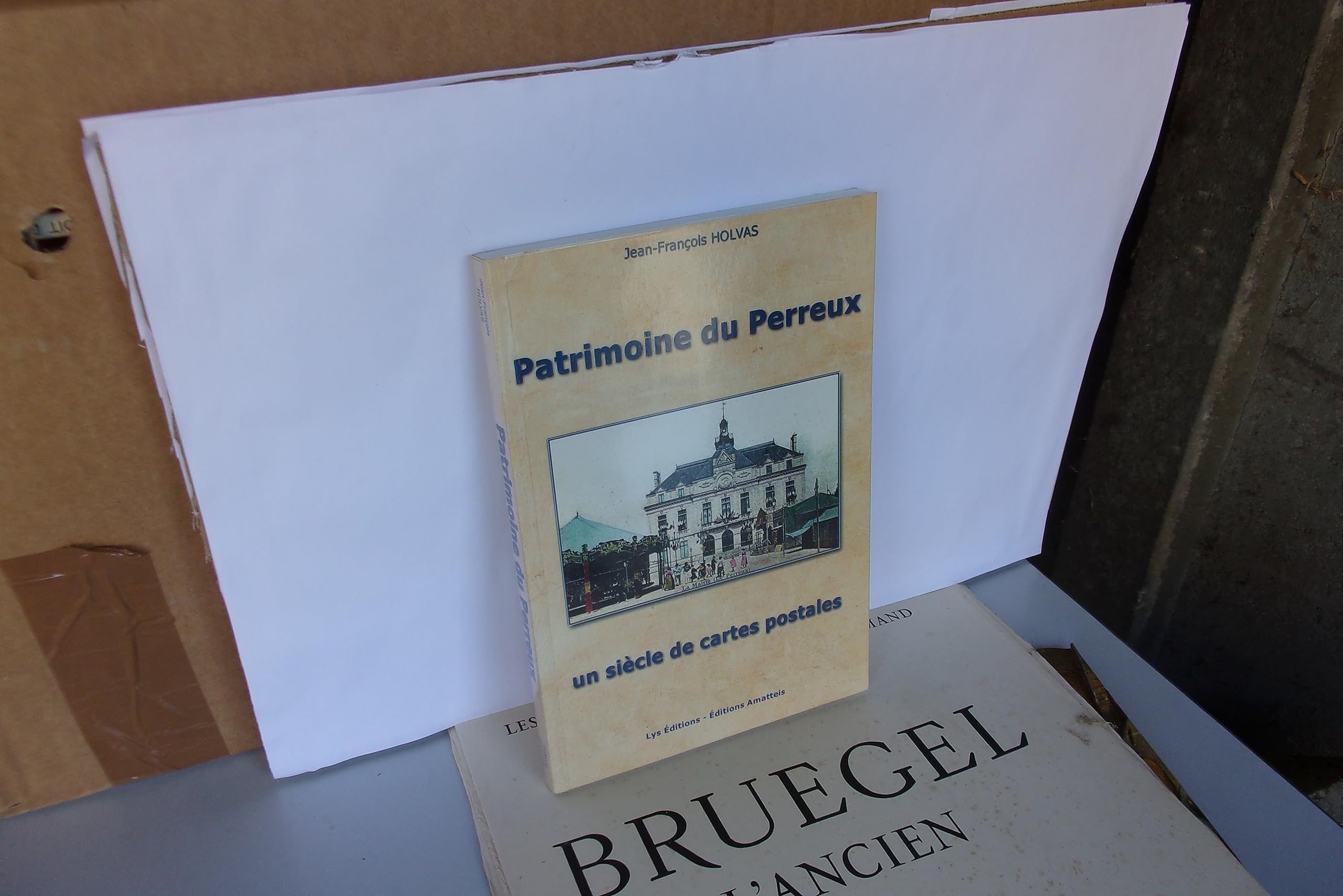 Patrimoine du Perreux : Un siècle de cartes postales book