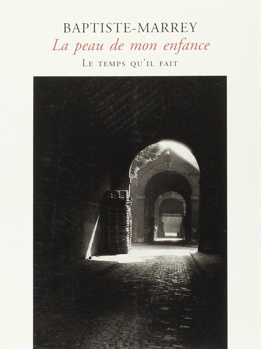 La Peau de mon enfance: Poème républicain Contemporary literature