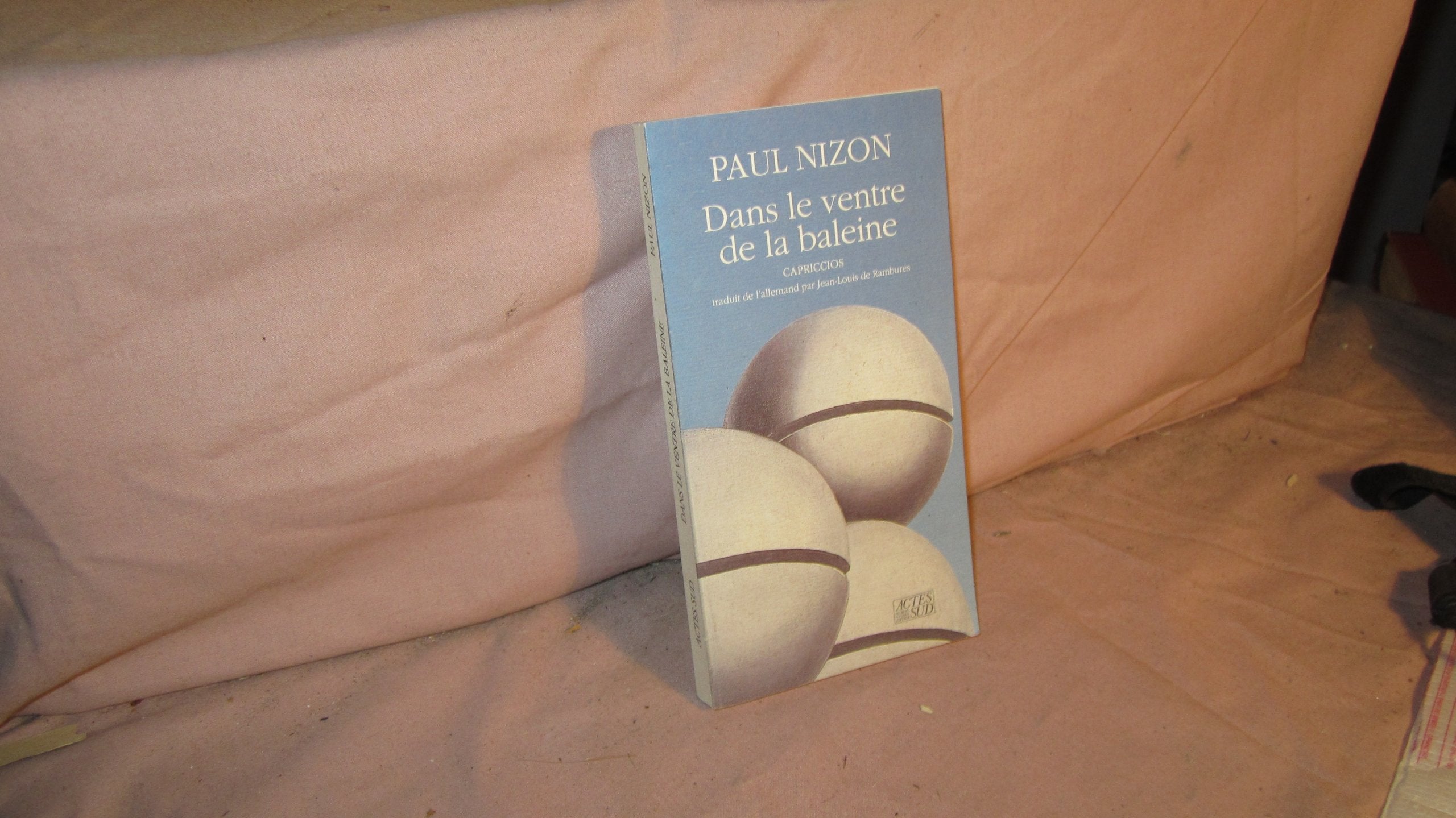 Dans le ventre de la baleine : capriccios Contemporary literature