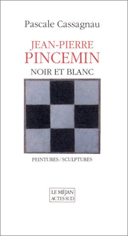 Jean-Pierre Pincemin Film, Art & Culture